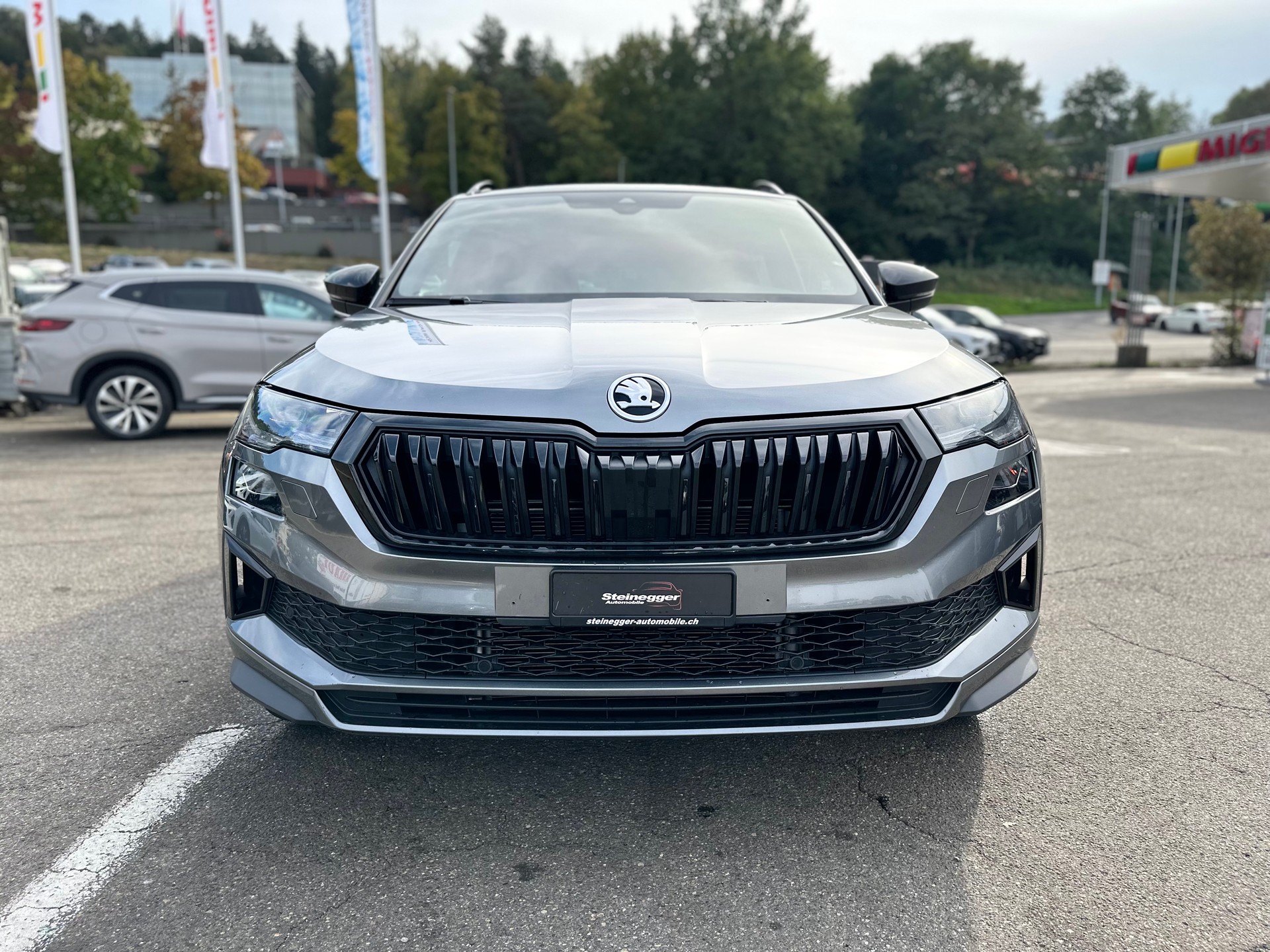 SKODA Karoq 2.0 TSI SportLine 4x4 DSG-showroom-element-3