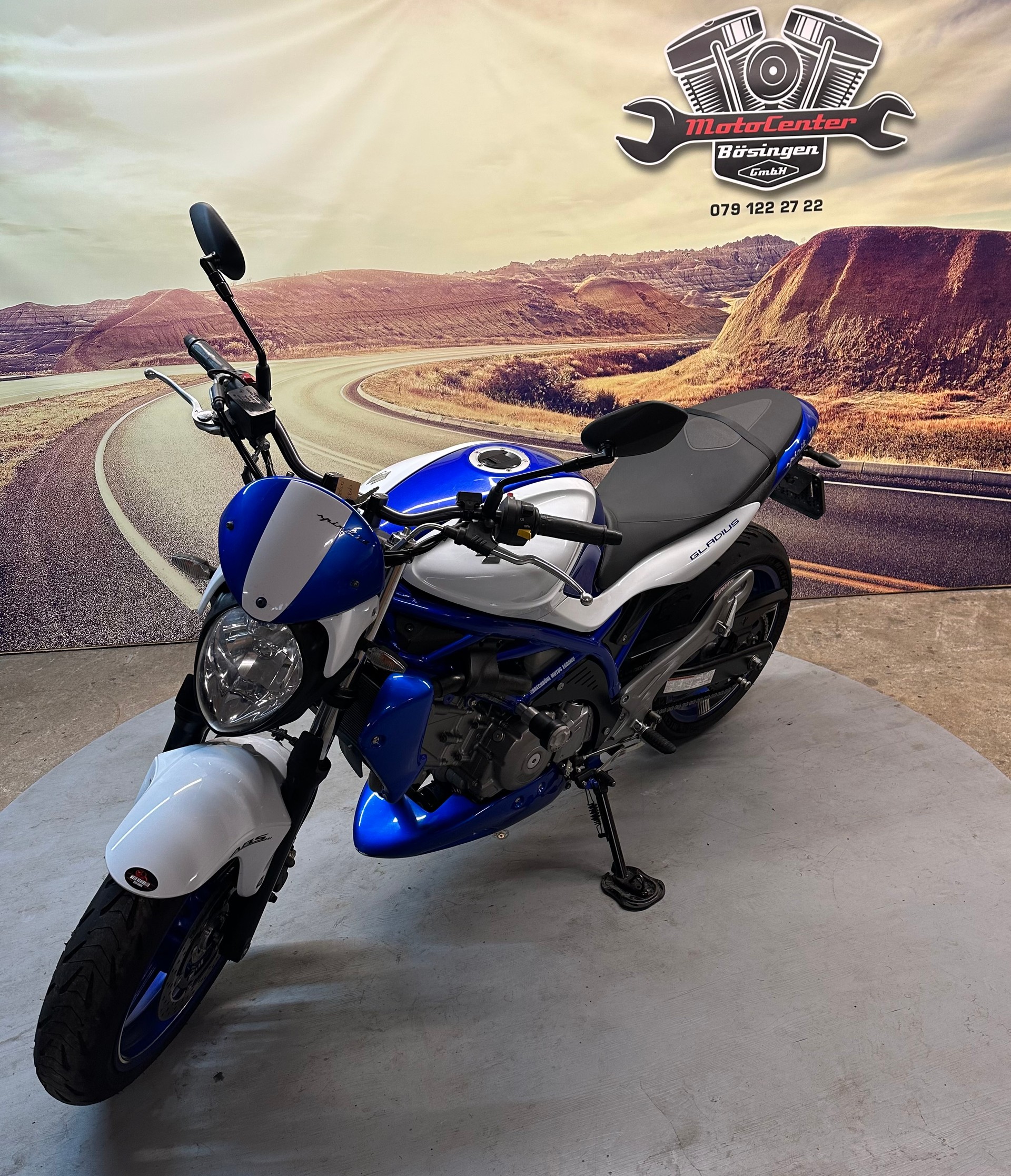 SUZUKI SFV 650 Gladius ABS Sportauspuff-image-3