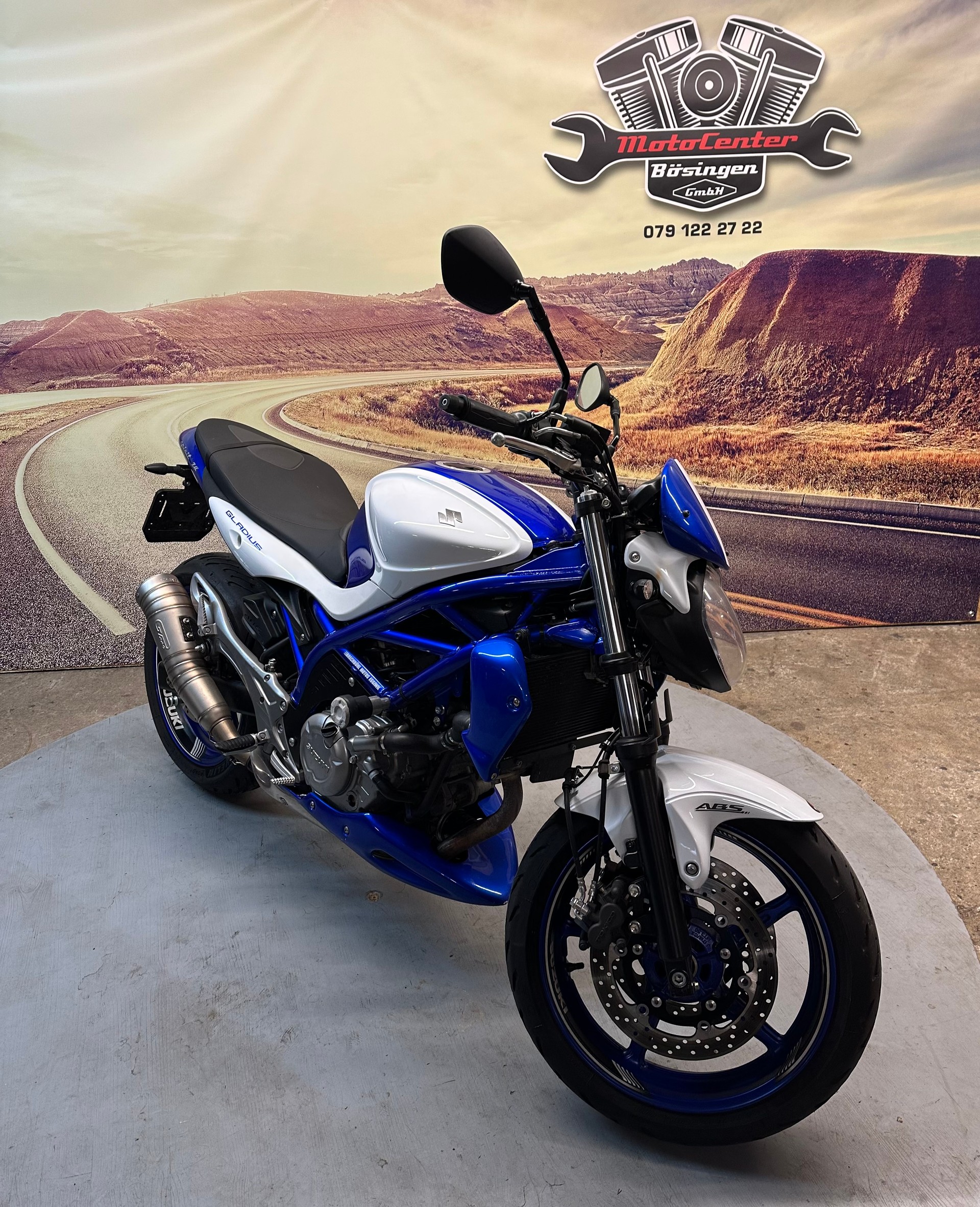 SUZUKI SFV 650 Gladius ABS Sportauspuff-image-1