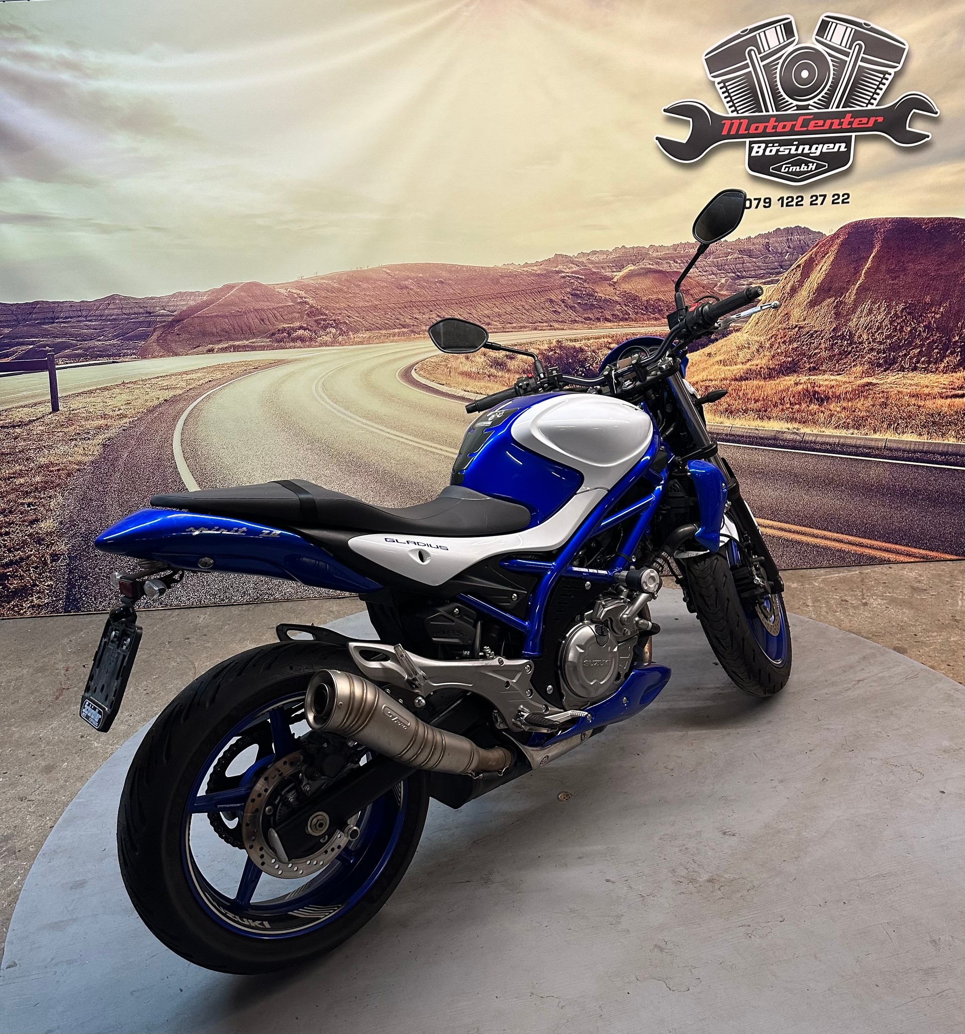 SUZUKI SFV 650 Gladius ABS Sportauspuff-image-5