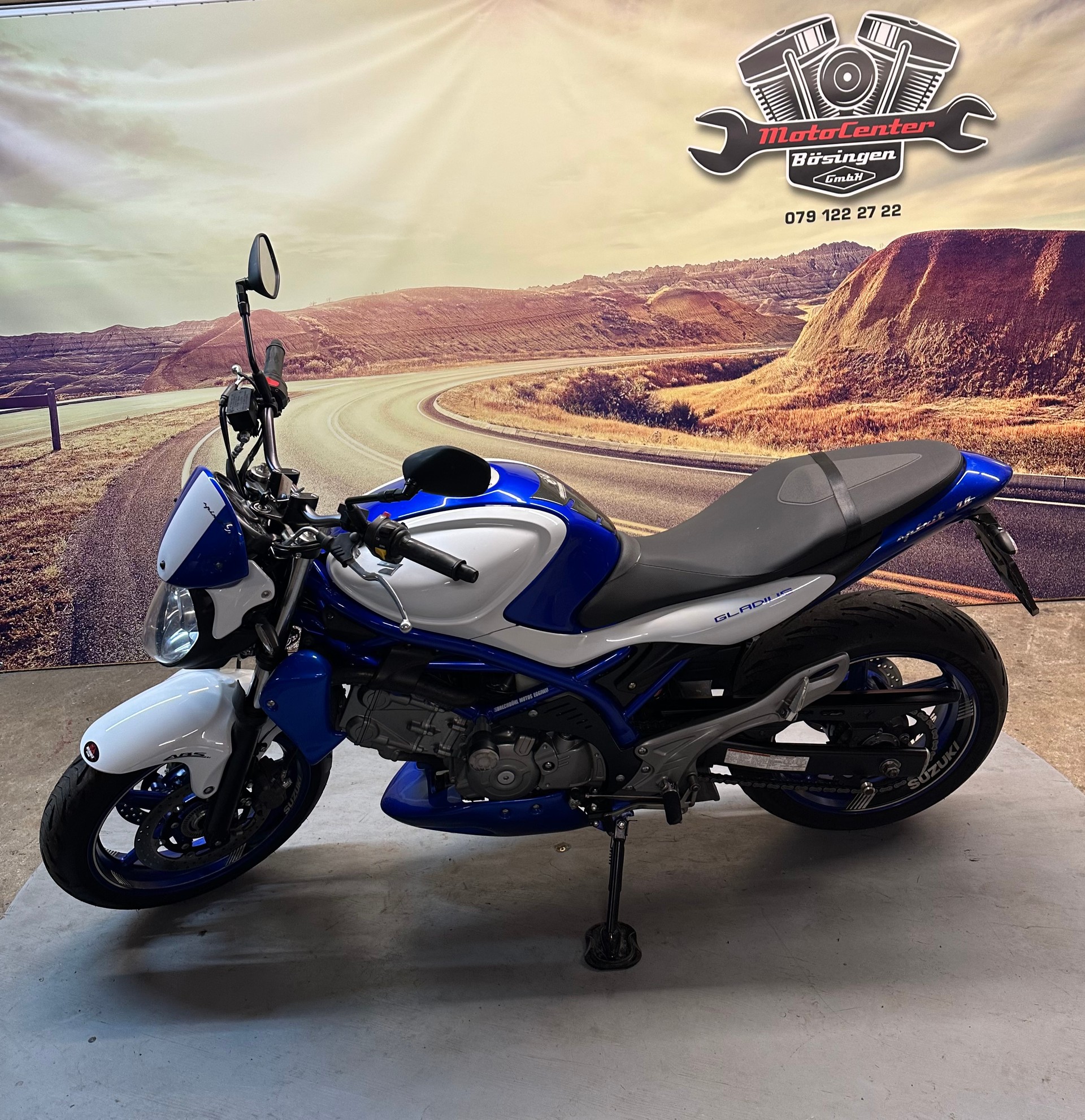 SUZUKI SFV 650 Gladius ABS Sportauspuff-image-4