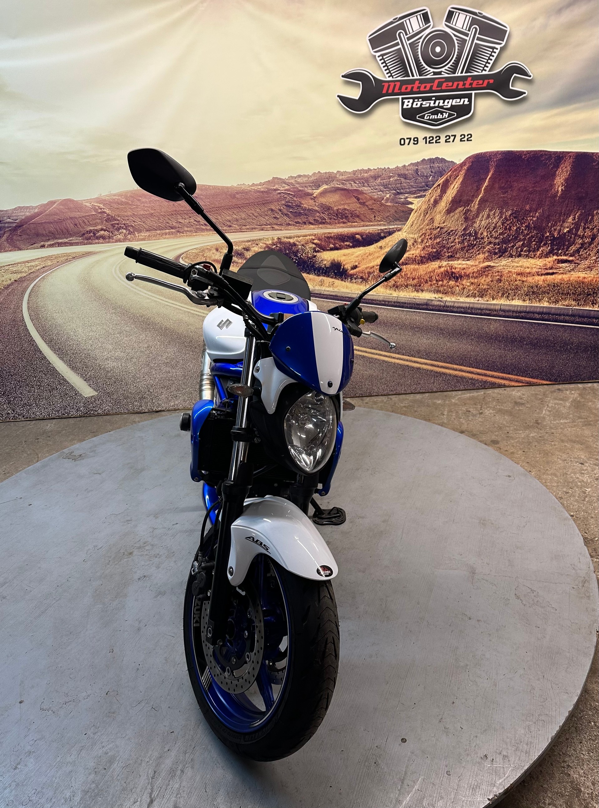 SUZUKI SFV 650 Gladius ABS Sportauspuff-image-2