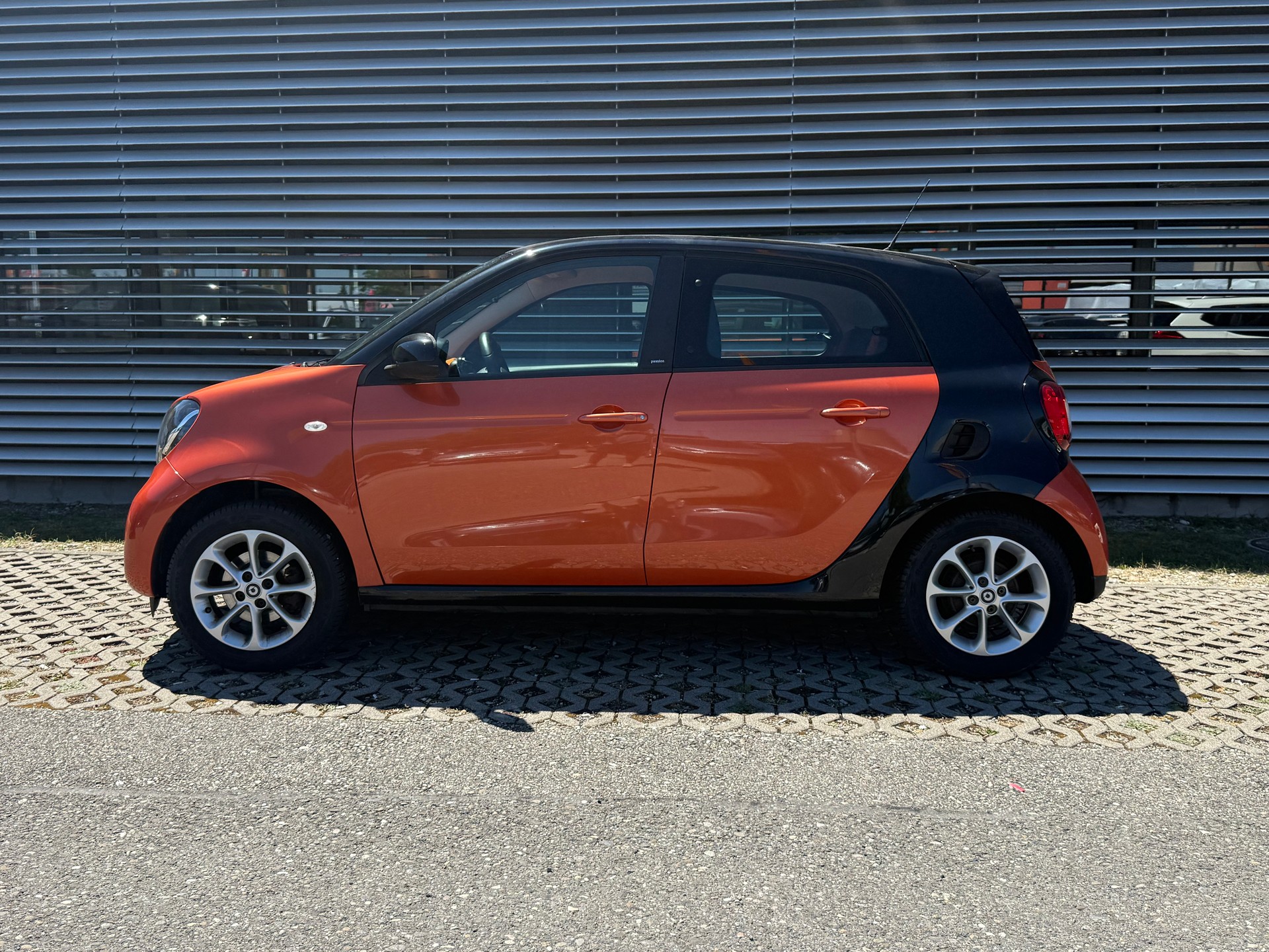 SMART forfour passion-image-2