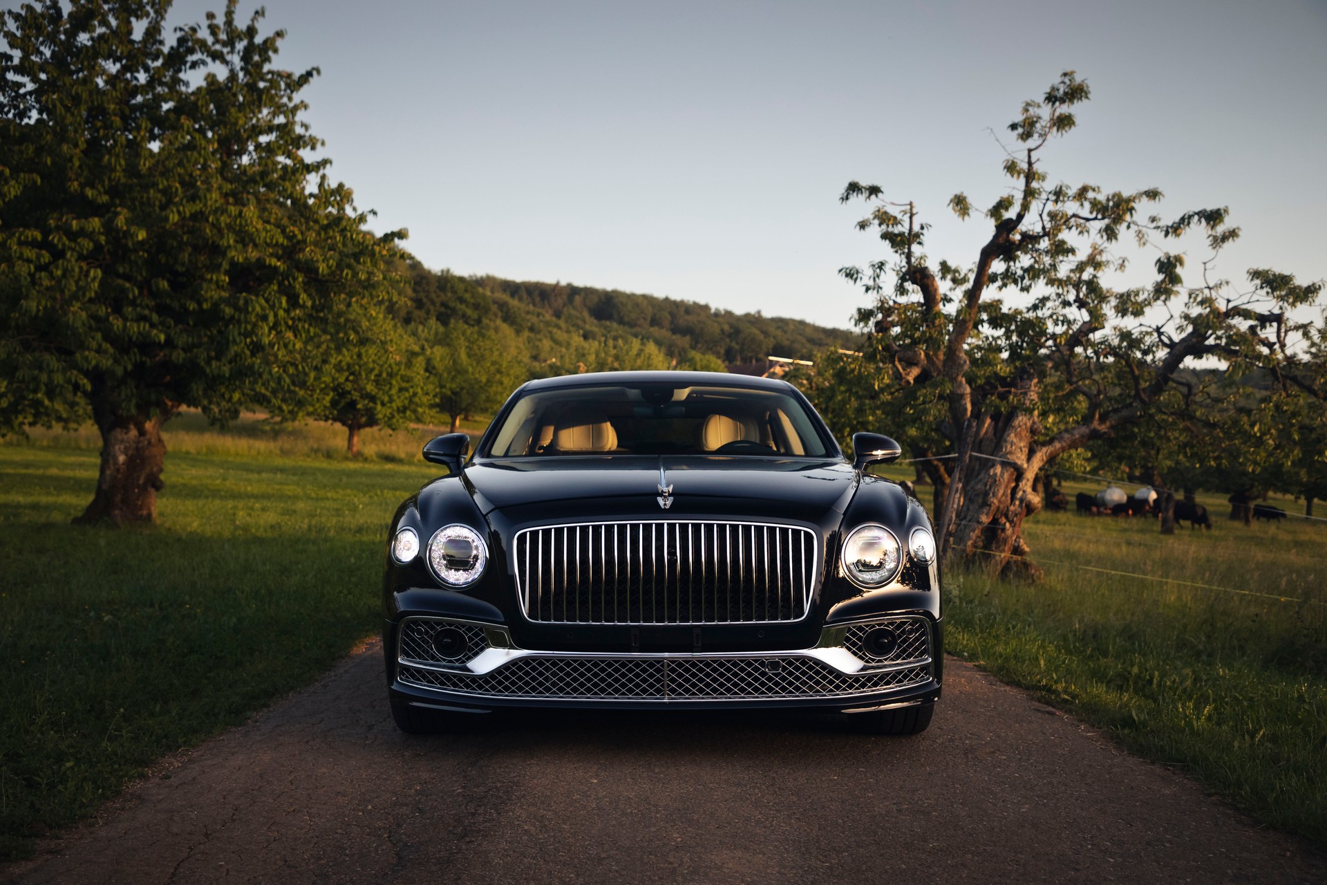 BENTLEY 6.0 W12 Mulliner-image-2