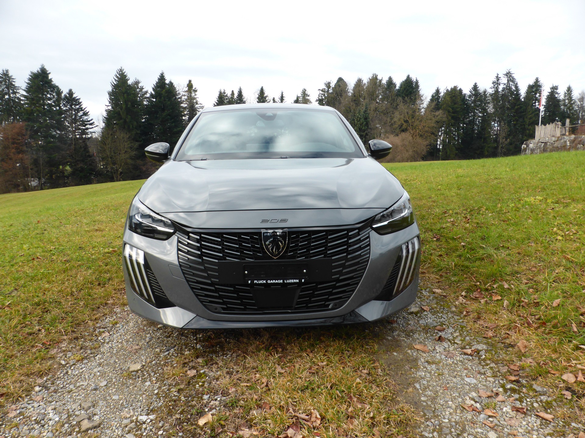PEUGEOT 208 1.2 MHEV 145 GT-image-4