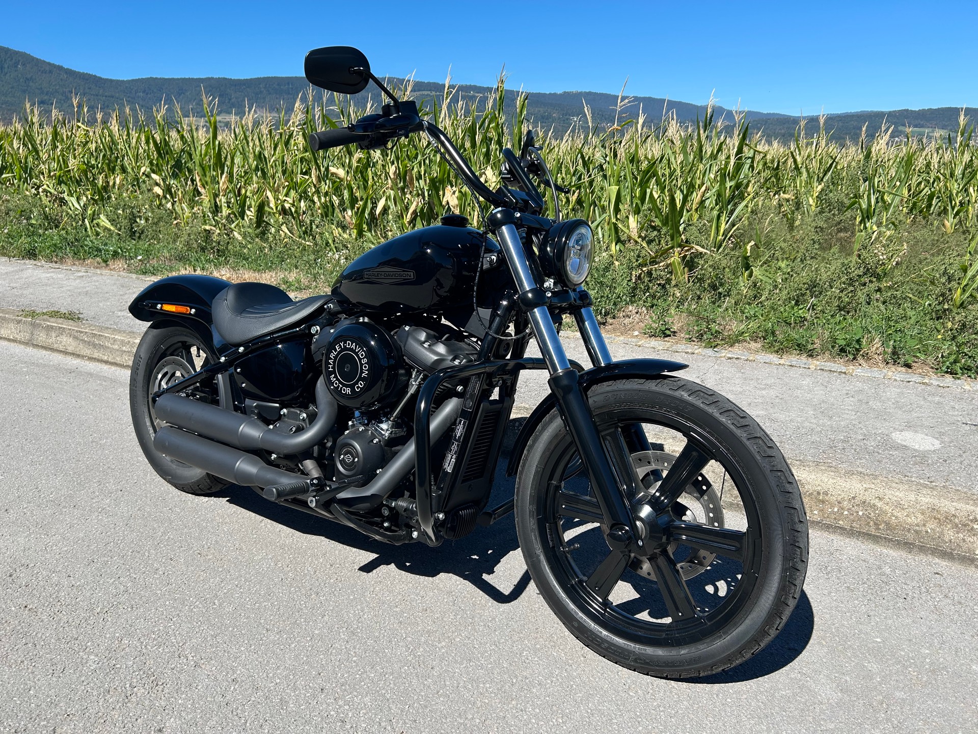 HARLEY-DAVIDSON FXST Softail Standard 107-image-0
