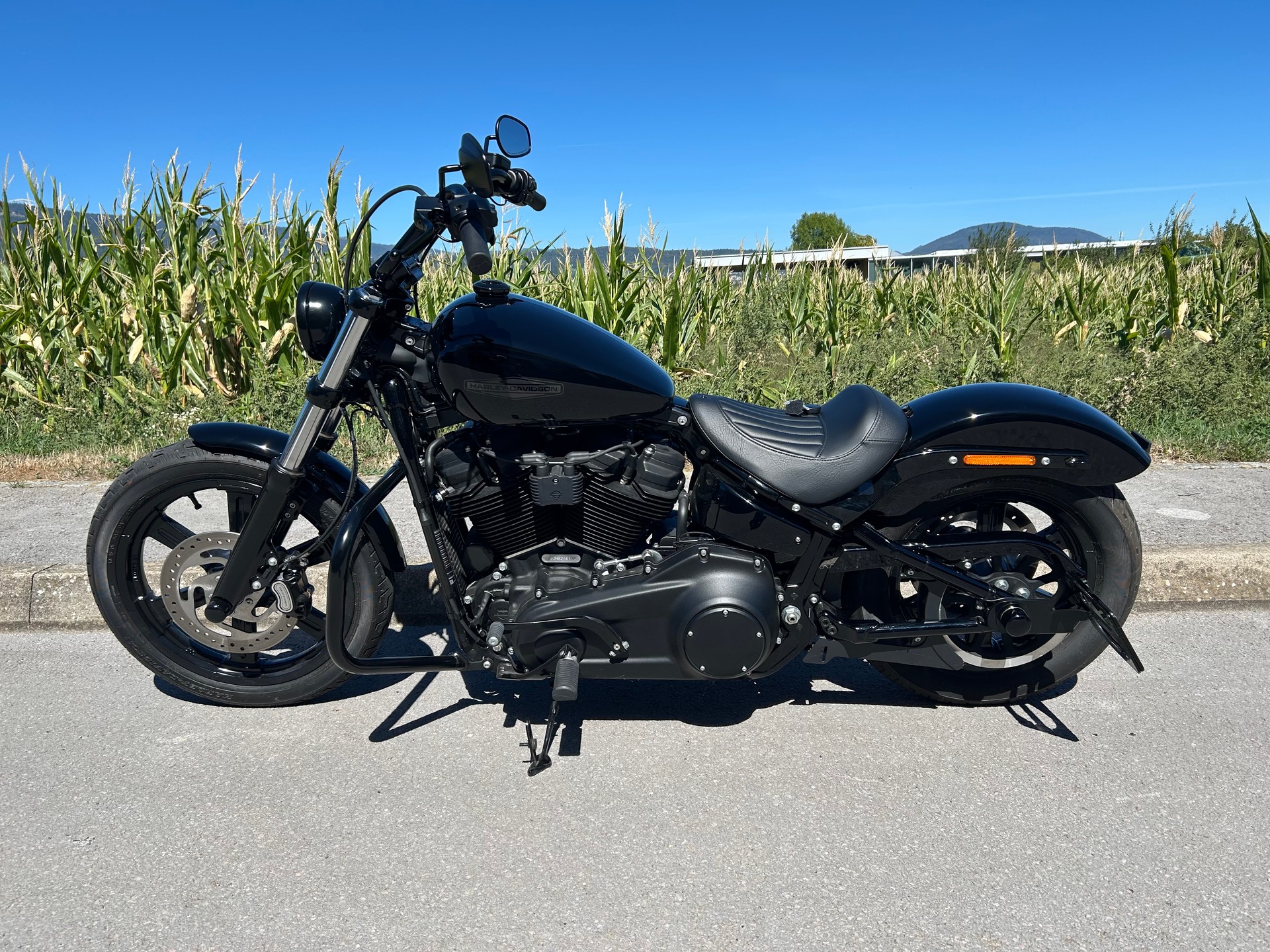HARLEY-DAVIDSON FXST Softail Standard 107-image-4