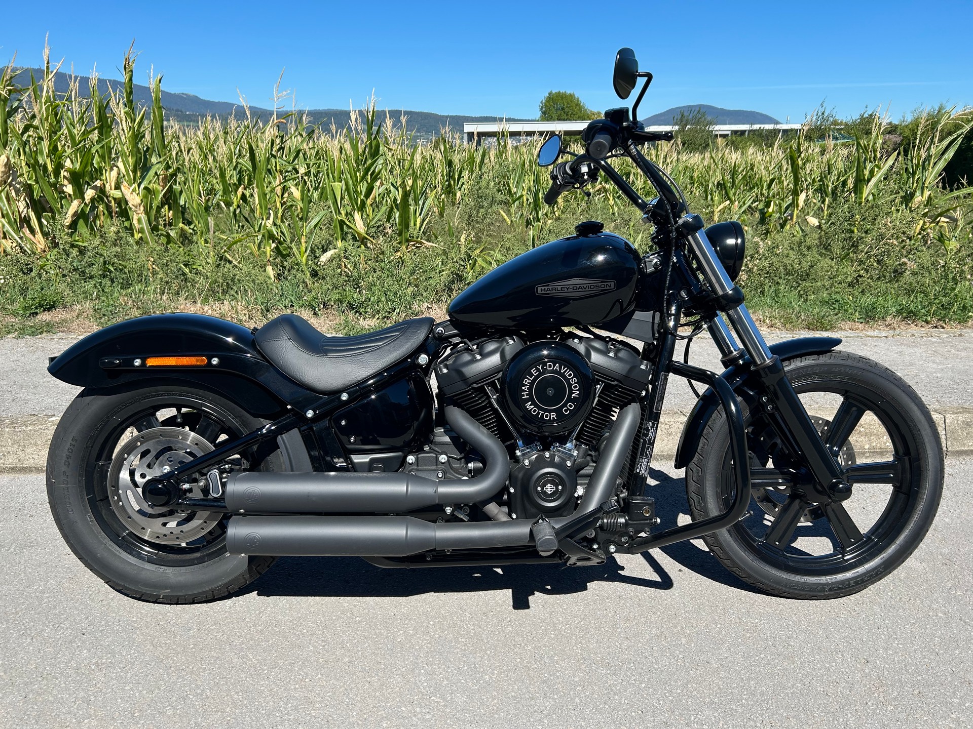 HARLEY-DAVIDSON FXST Softail Standard 107-image-1