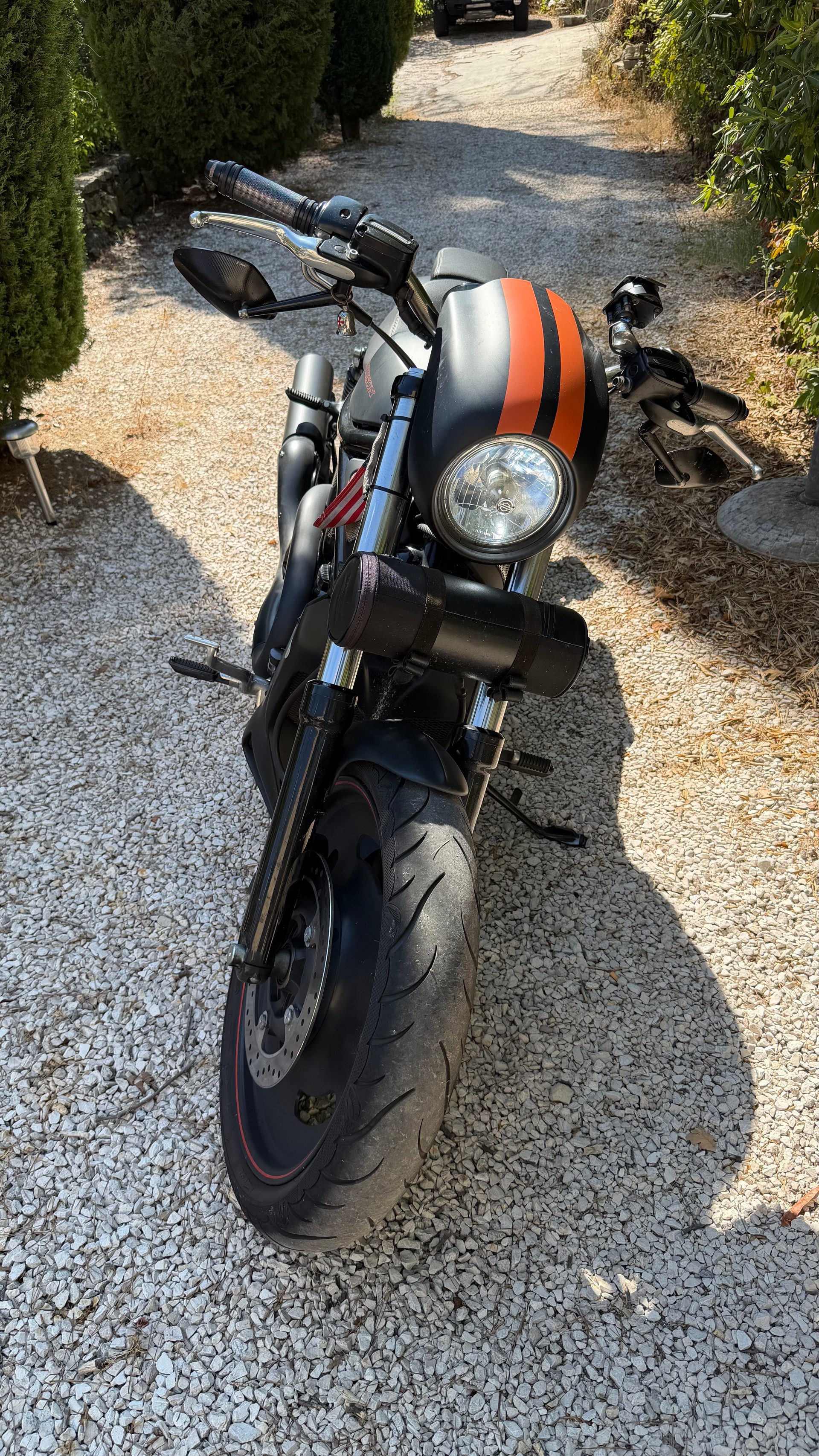 HARLEY-DAVIDSON VRSCDX Night Rod Special-image-4