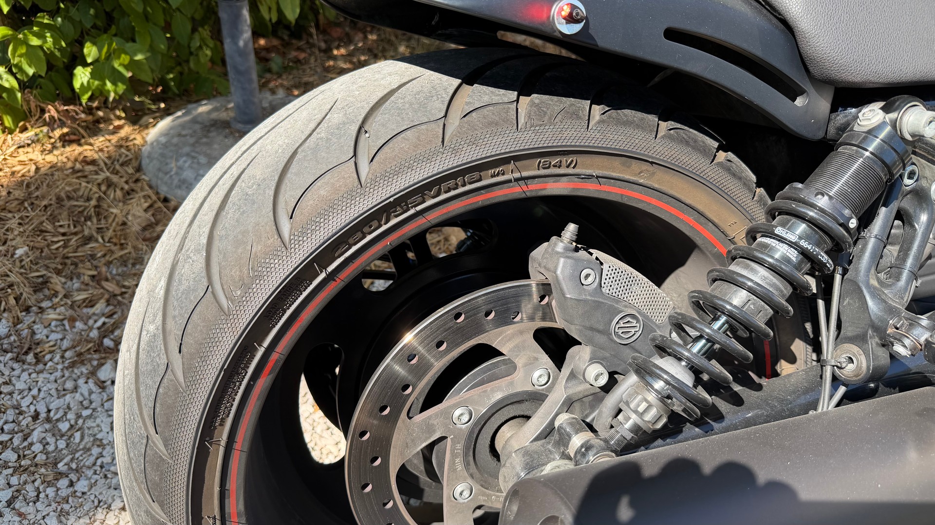 HARLEY-DAVIDSON VRSCDX Night Rod Special-image-7