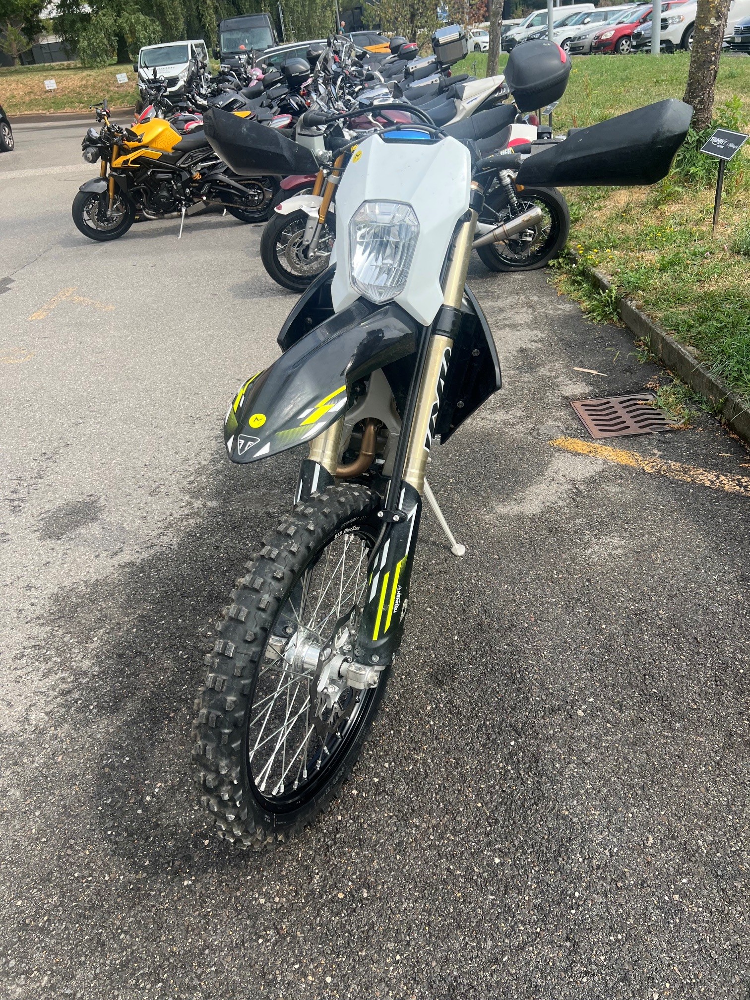 TRIUMPH TF 250 E-image-2
