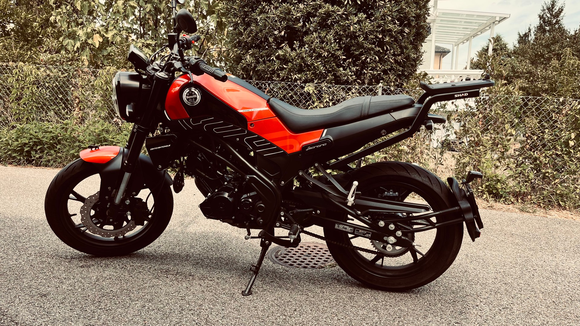 BENELLI Leoncino-image-0