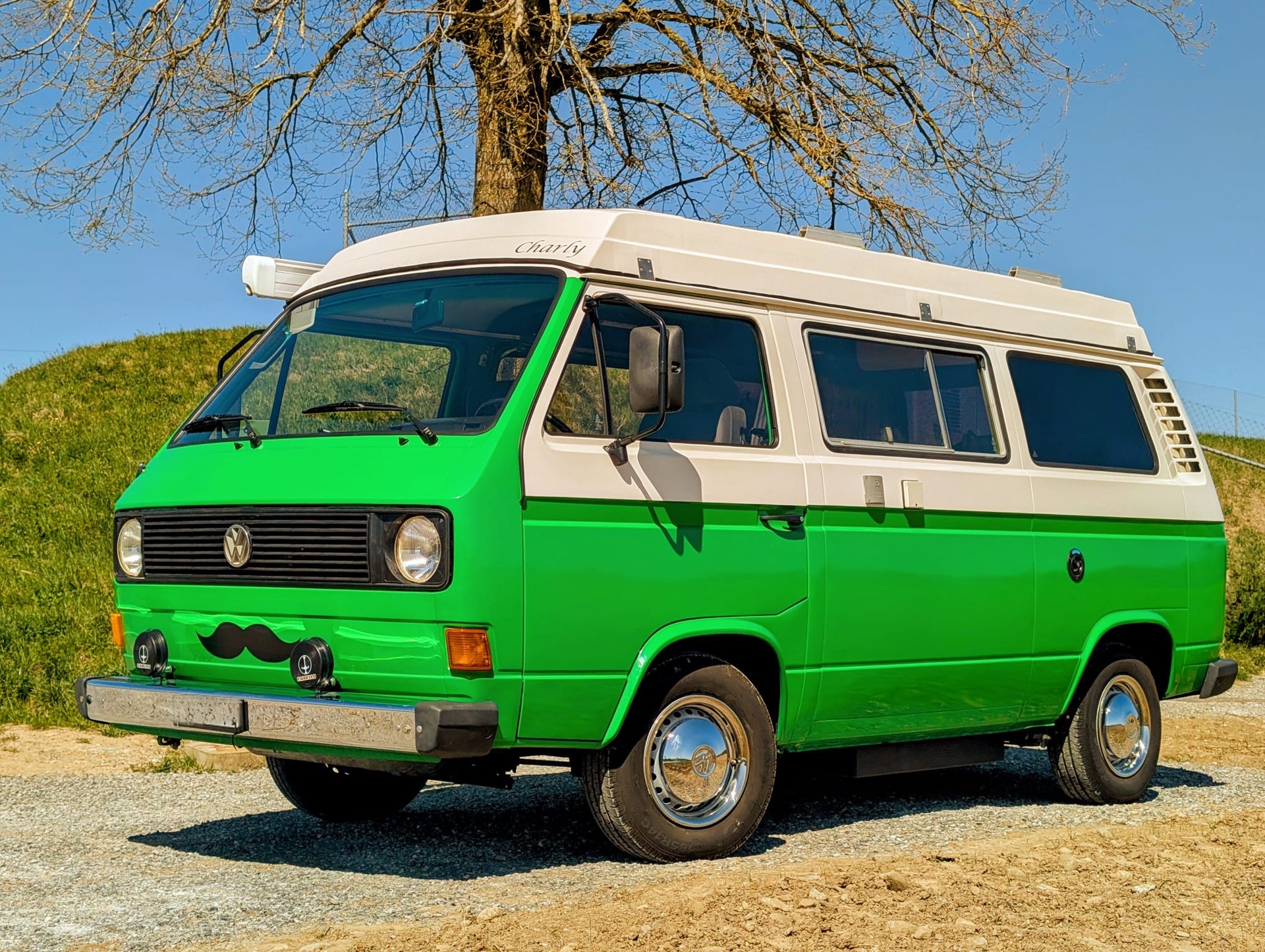 VW Typ2 Cassandra-image-4