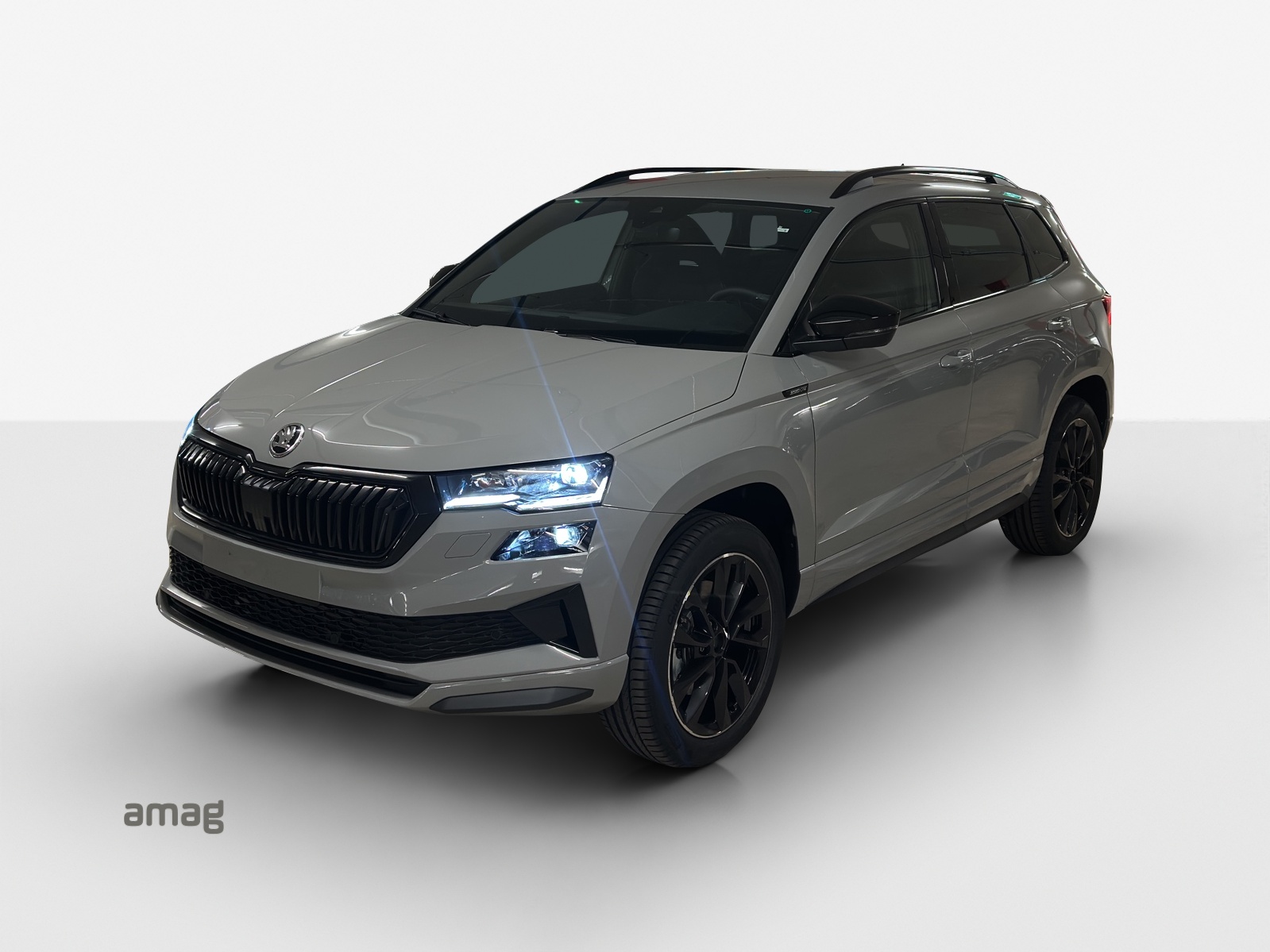 SKODA Karoq 2.0 TSI SportLine 4x4 DSG