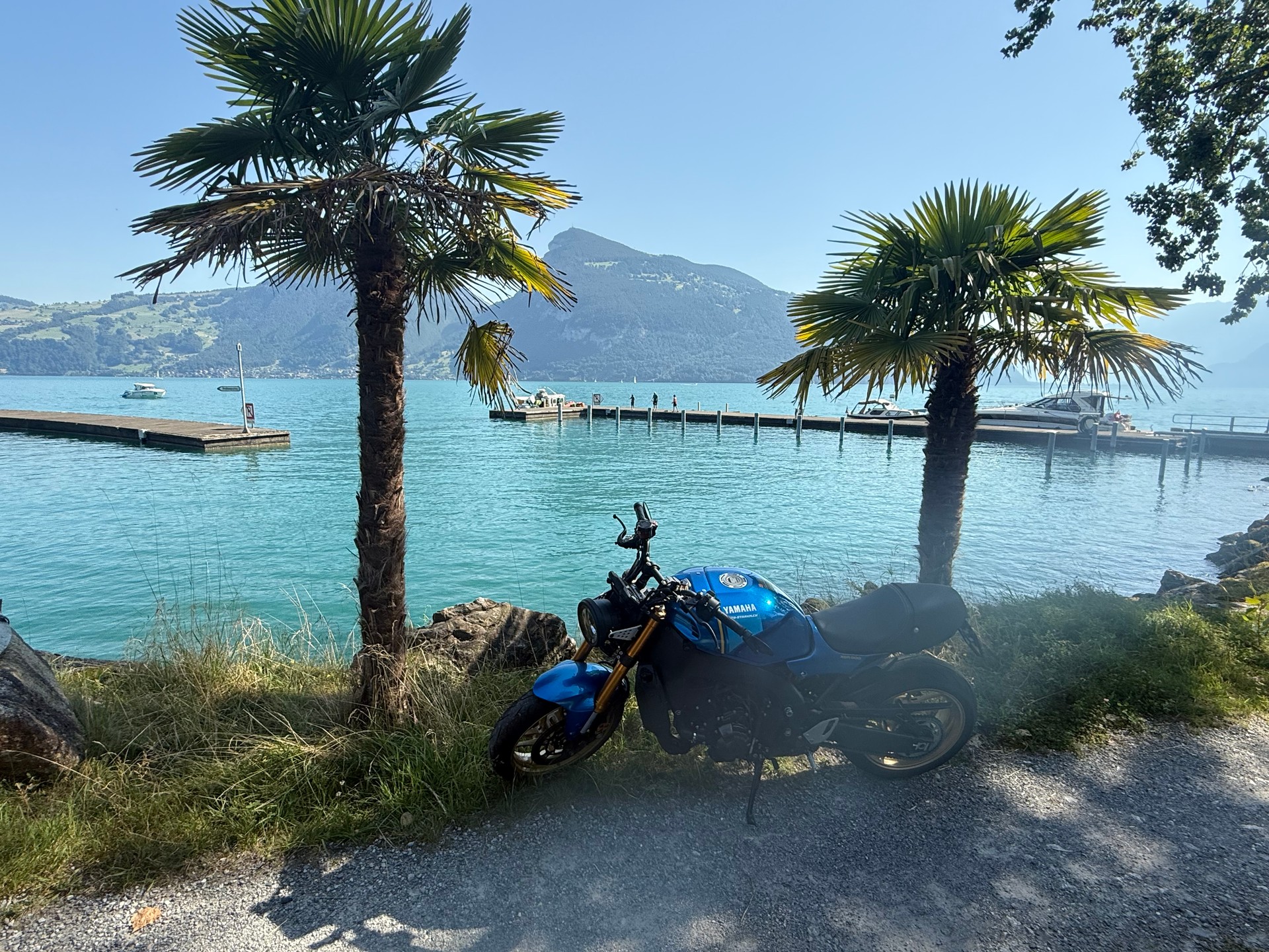 YAMAHA XSR 900 (35kW)-image-6
