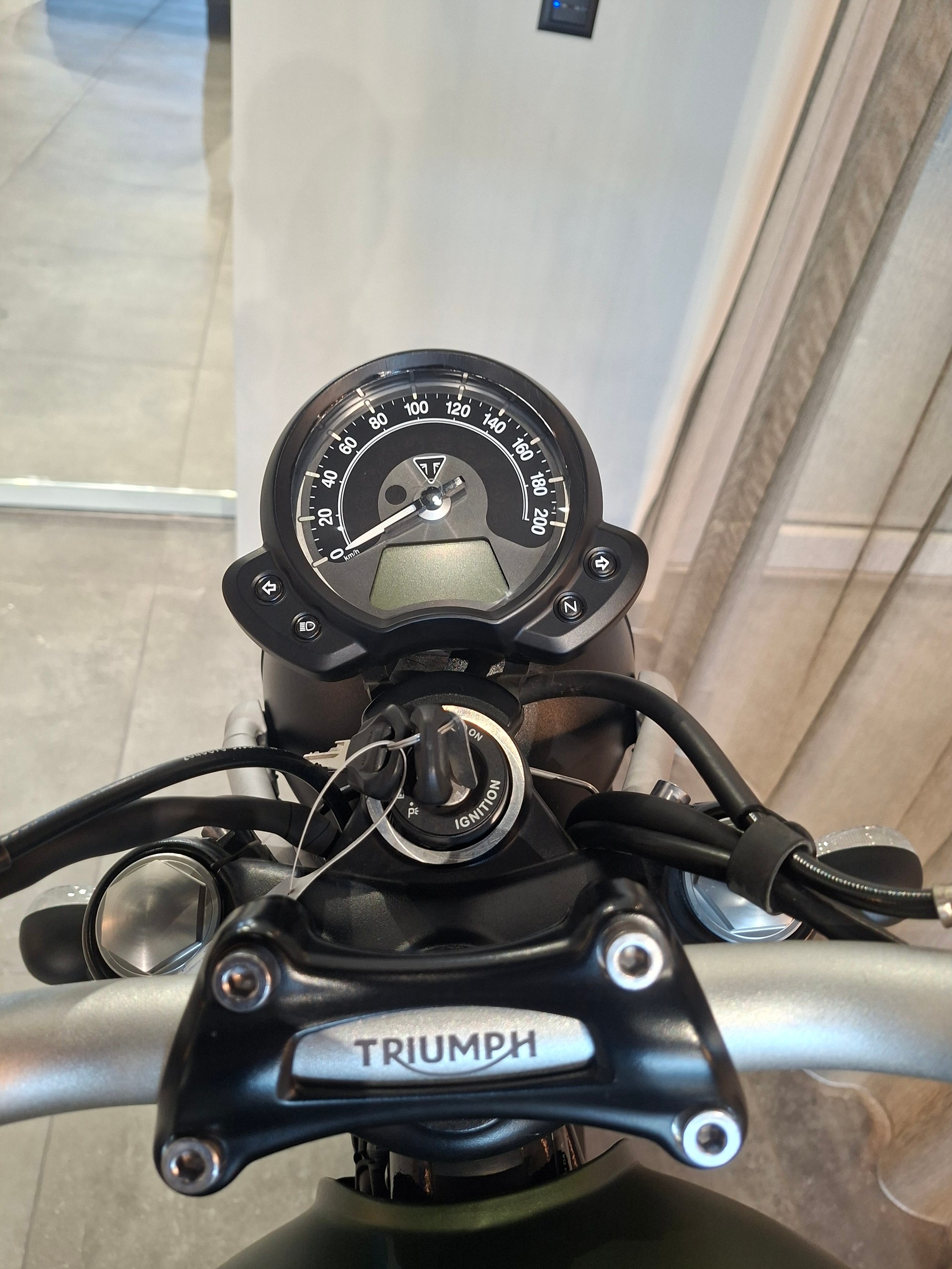 TRIUMPH Street Scrambler 900-image-12