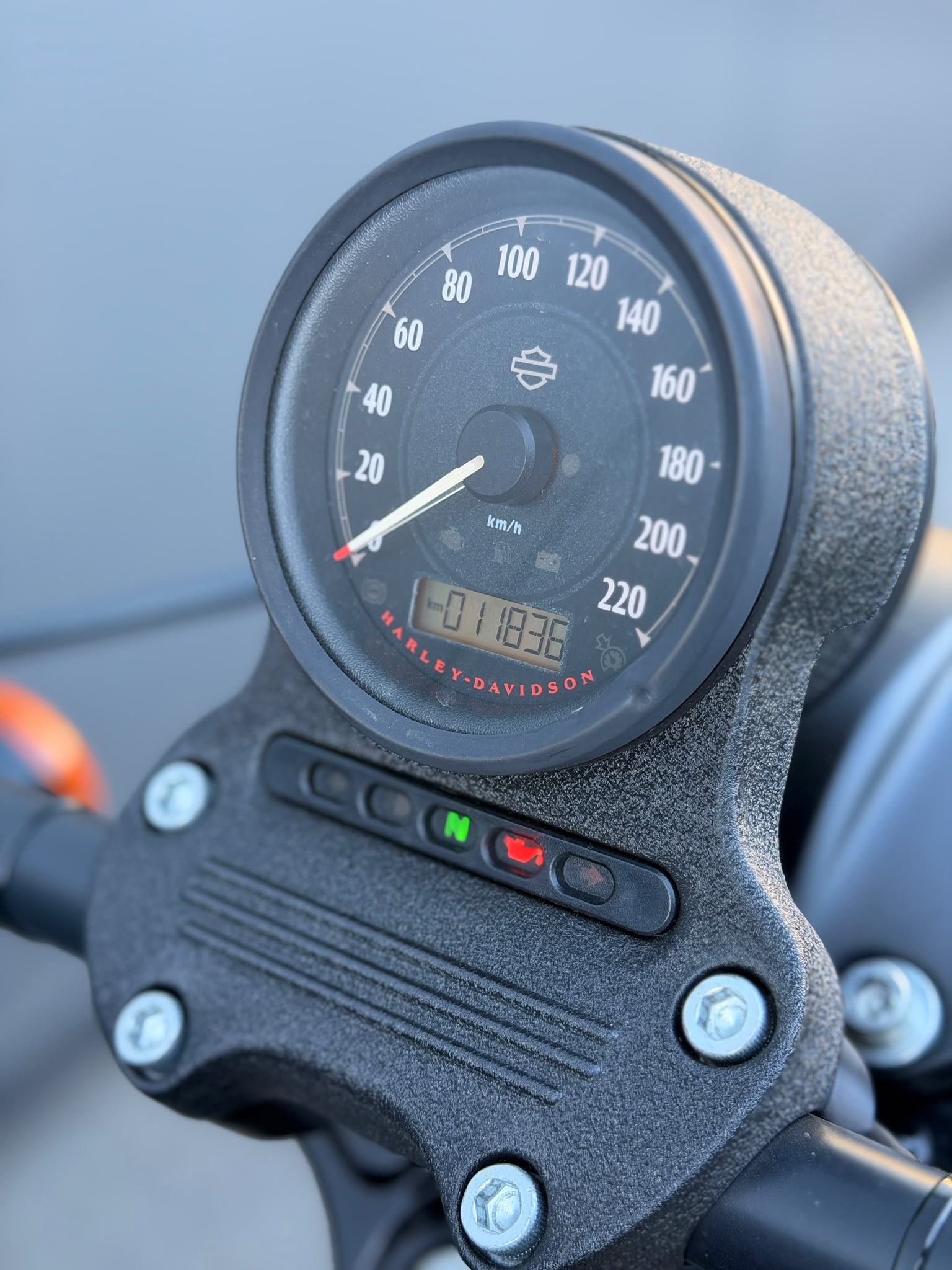 HARLEY-DAVIDSON XL 883N SPORTSTER IRON-image-9