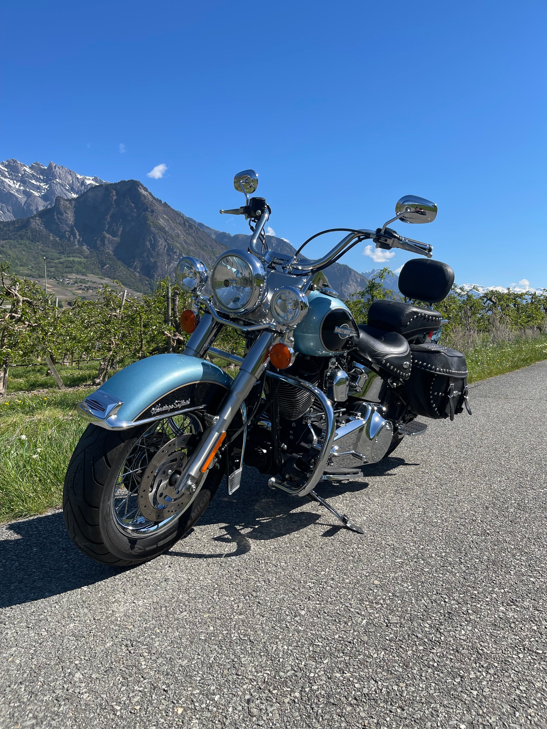HARLEY-DAVIDSON FLSTCI Softail Classic-image-3