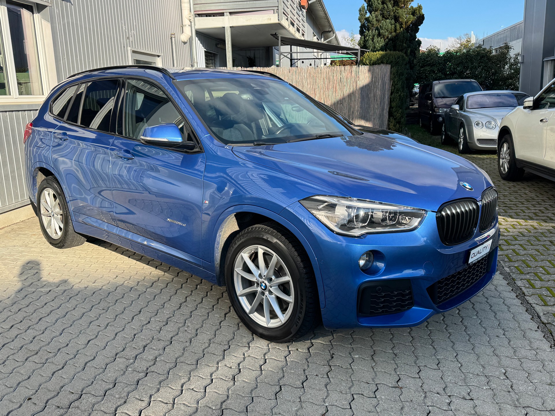 BMW X1 xDrive 25d M Sport Steptronic-showroom-element-2