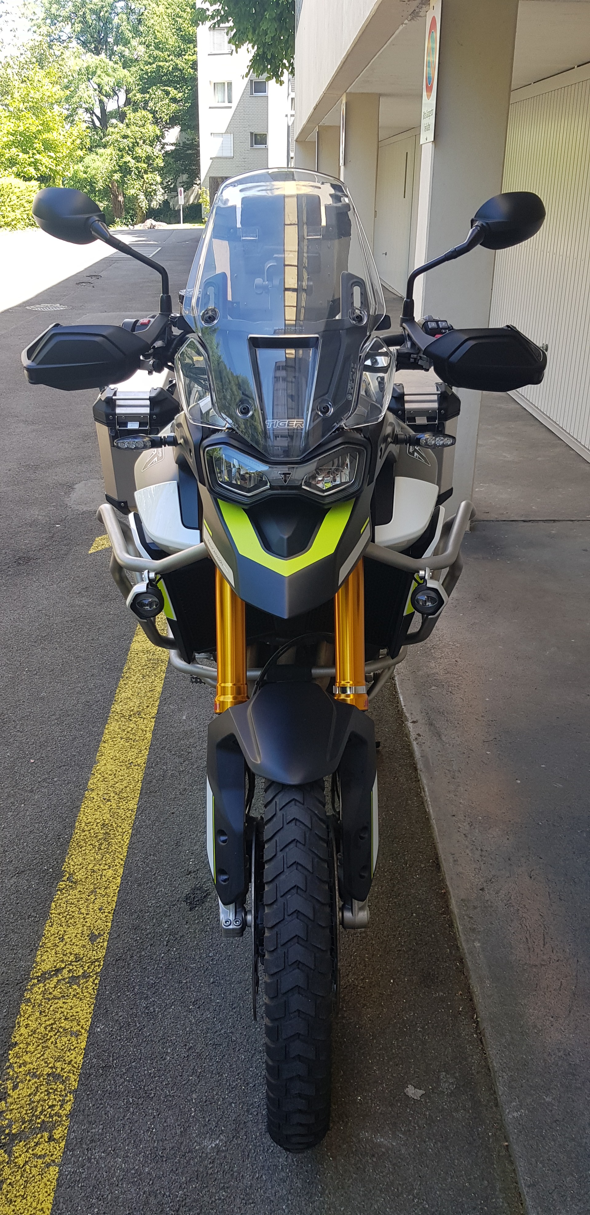 TRIUMPH Tiger 900 Rally Pro-image-0
