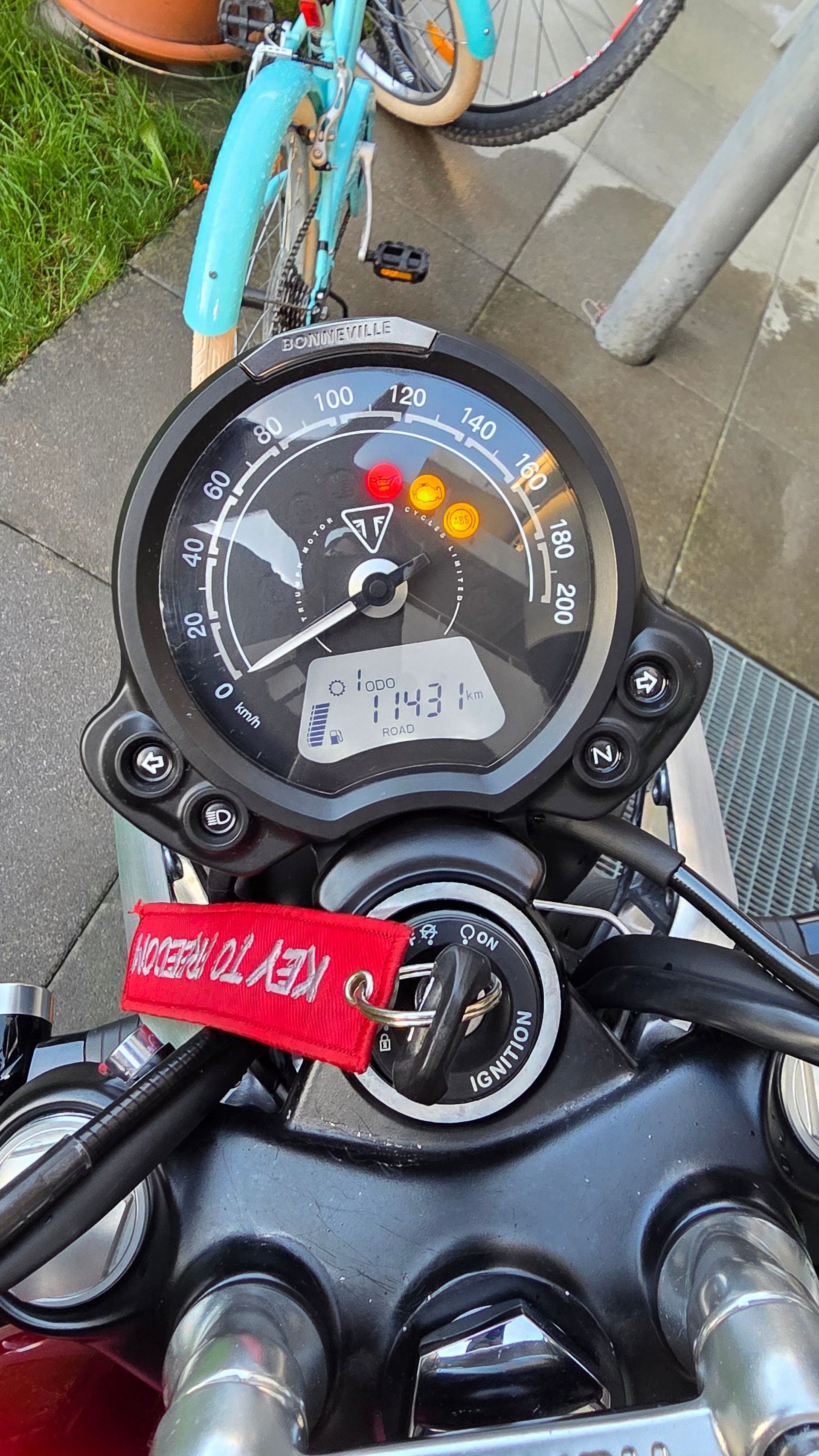 TRIUMPH Speed Twin 900 Chrome Edition (35kW)-image-5