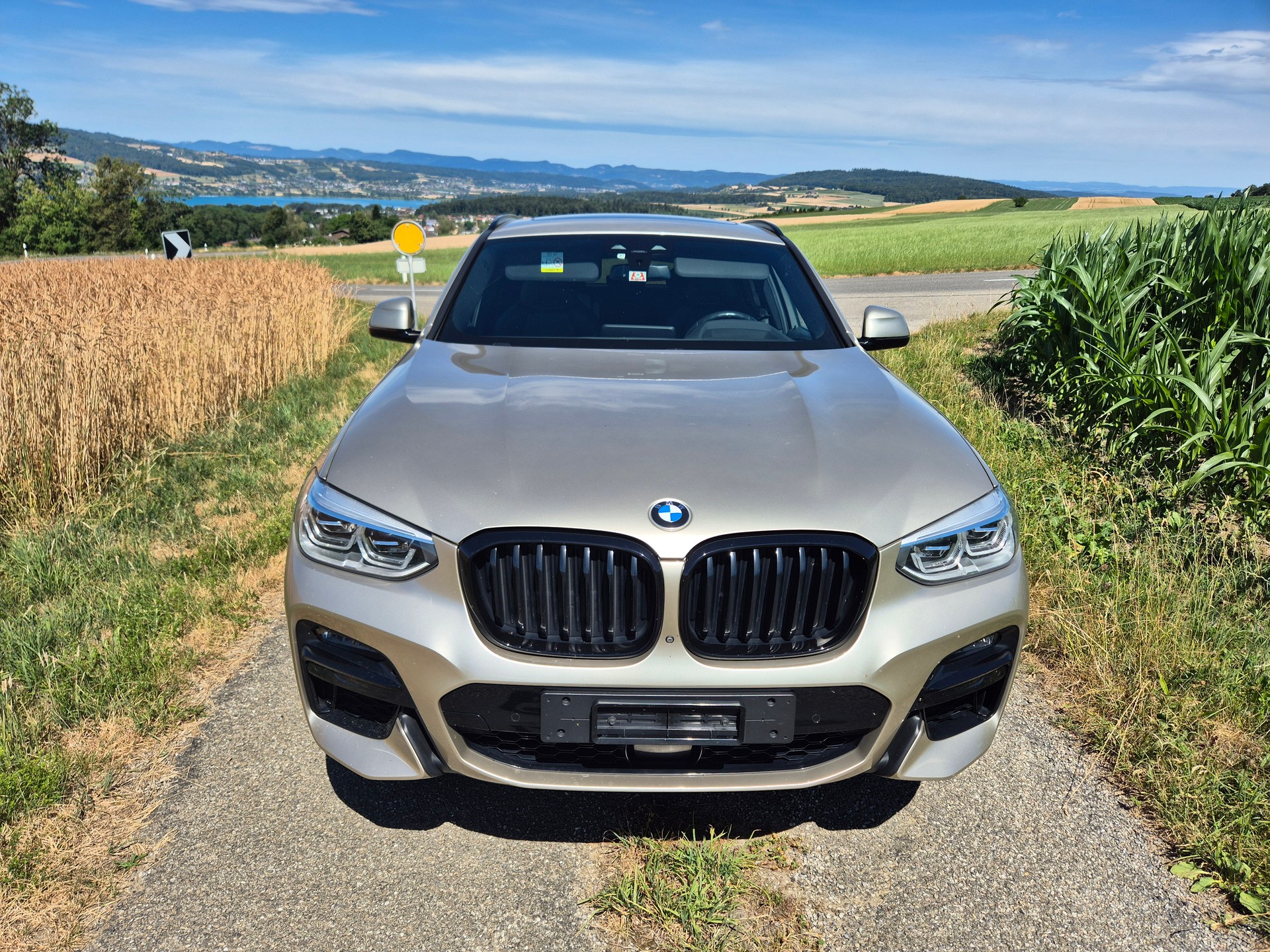 BMW X4 xDrive M40d Steptronic inkl. Garantie-image-6