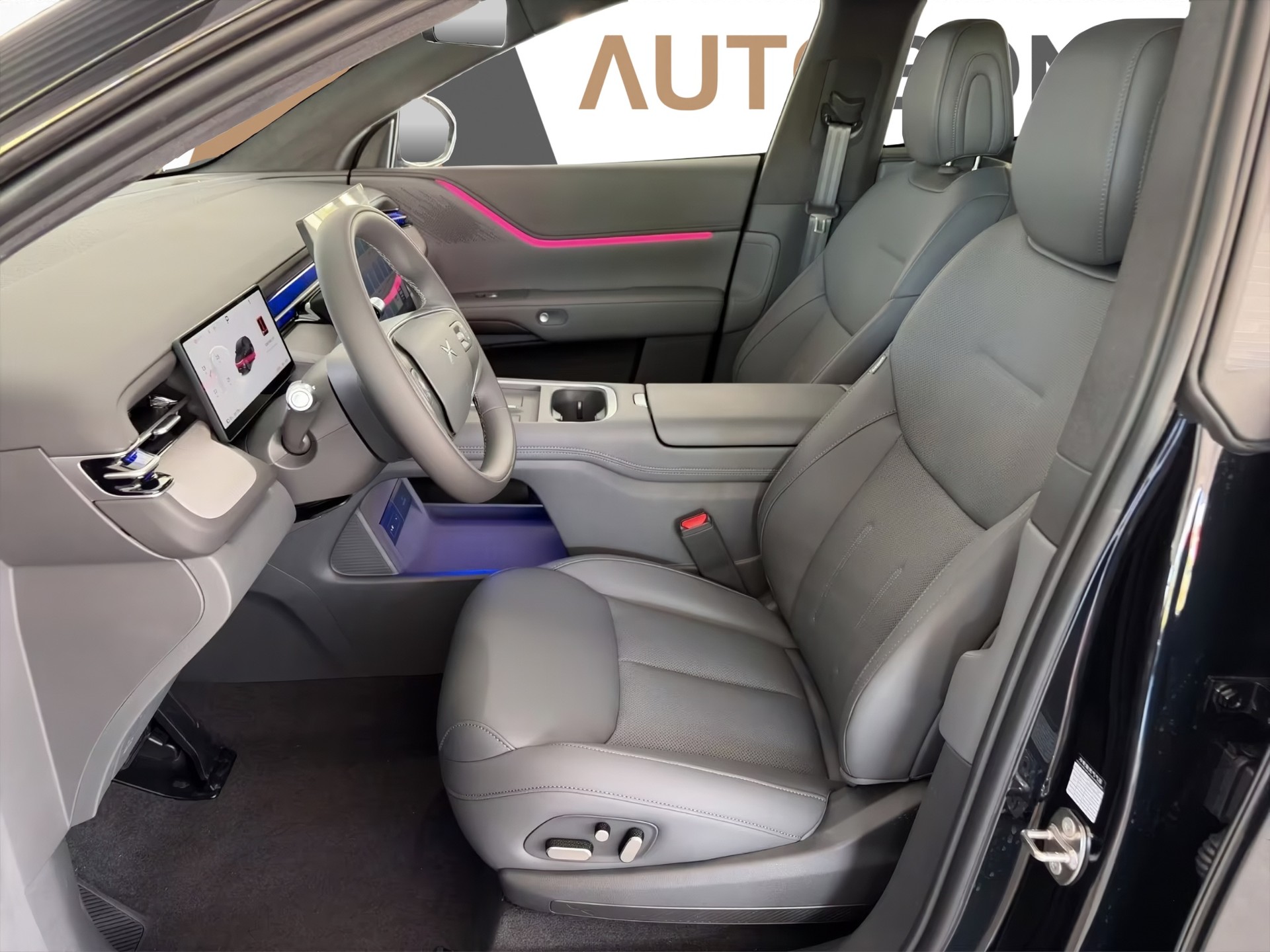 XPENG G6 80kWh Performance AWD-image-19