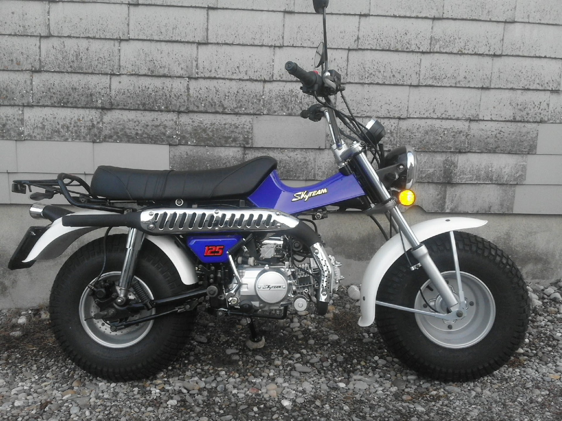 SKYTEAM T-Rex 125-image-0
