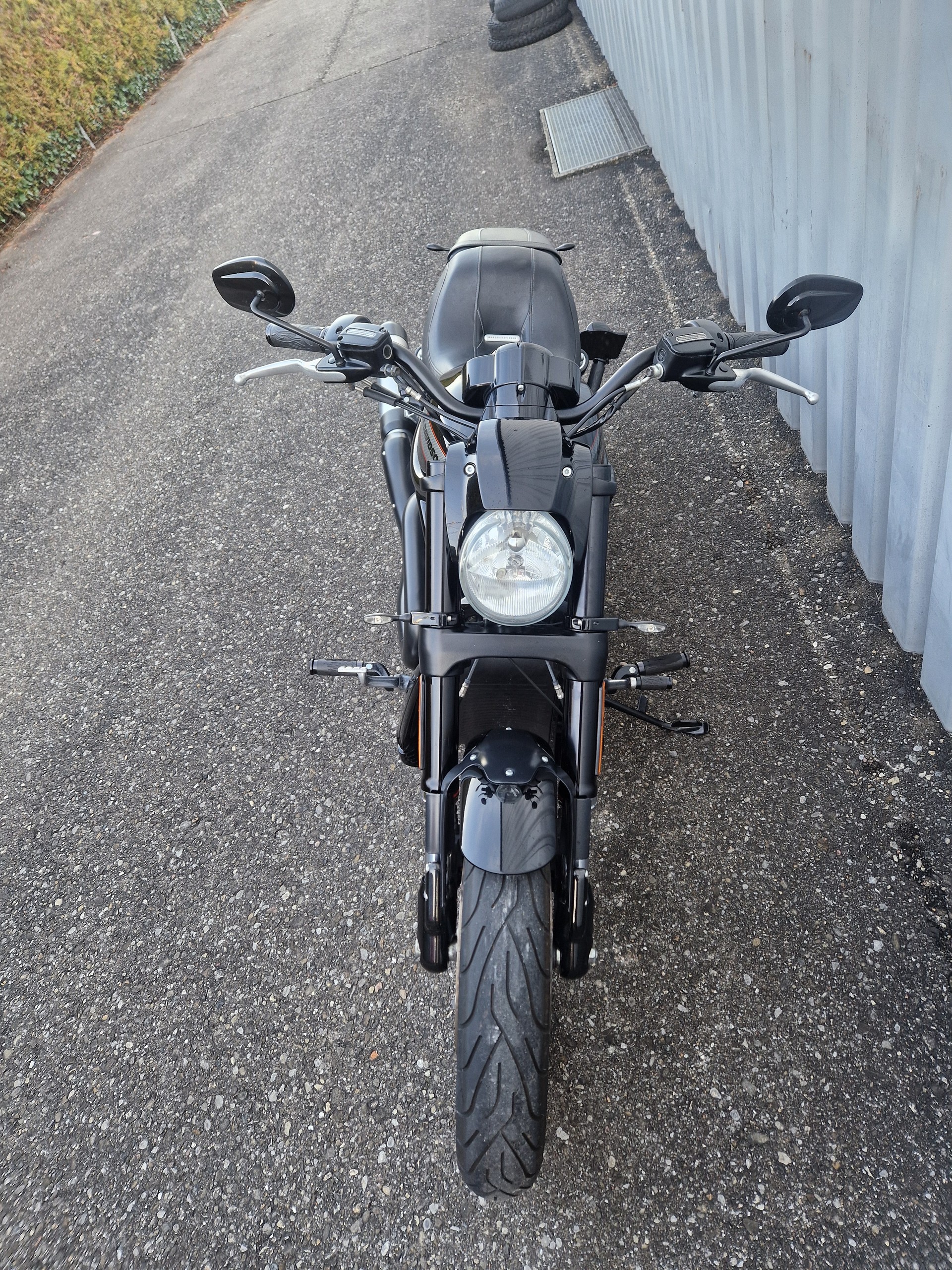 HARLEY-DAVIDSON VRSCDX Night Rod Special ABS Kundenauftrag-image-3