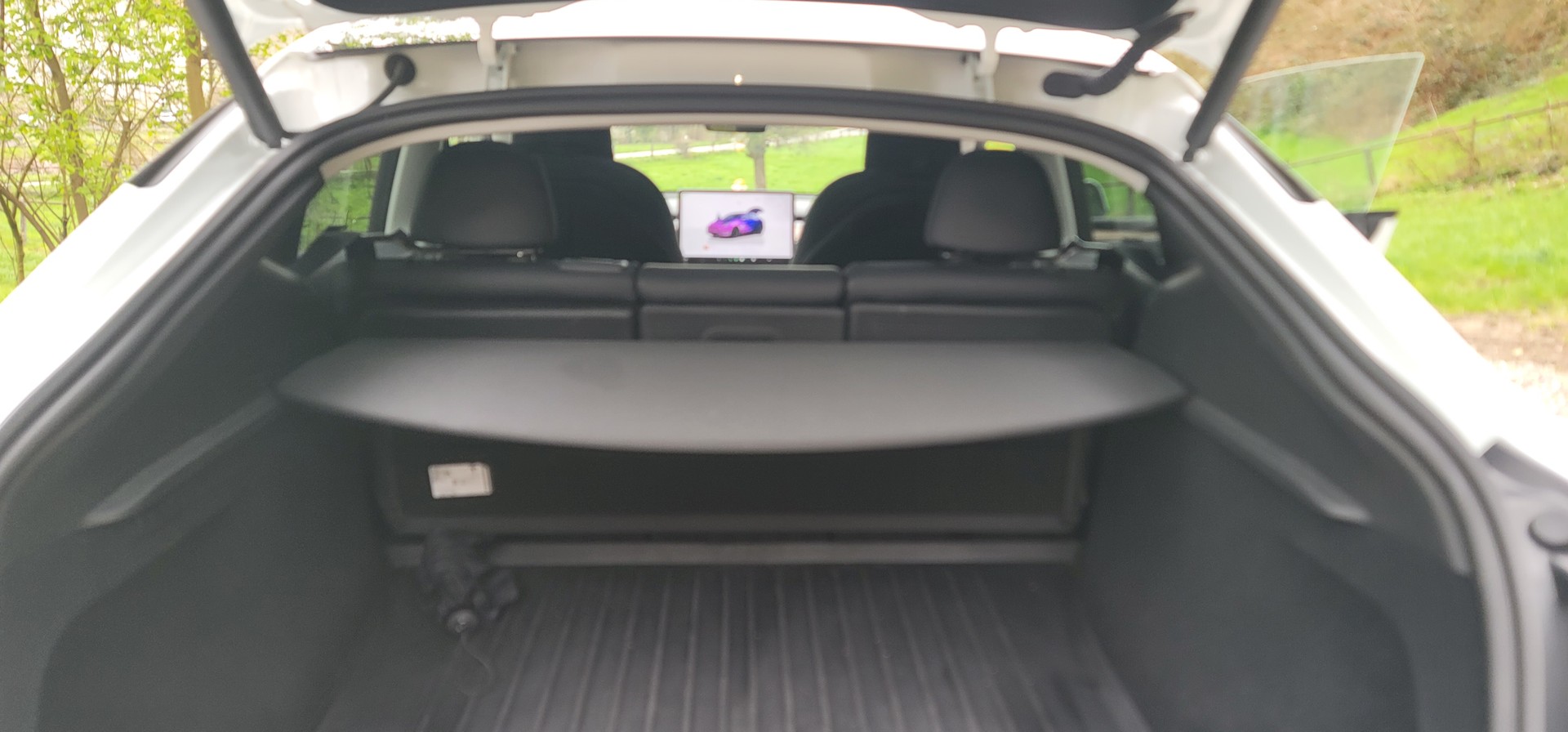 TESLA Model Y Long Range-image-6