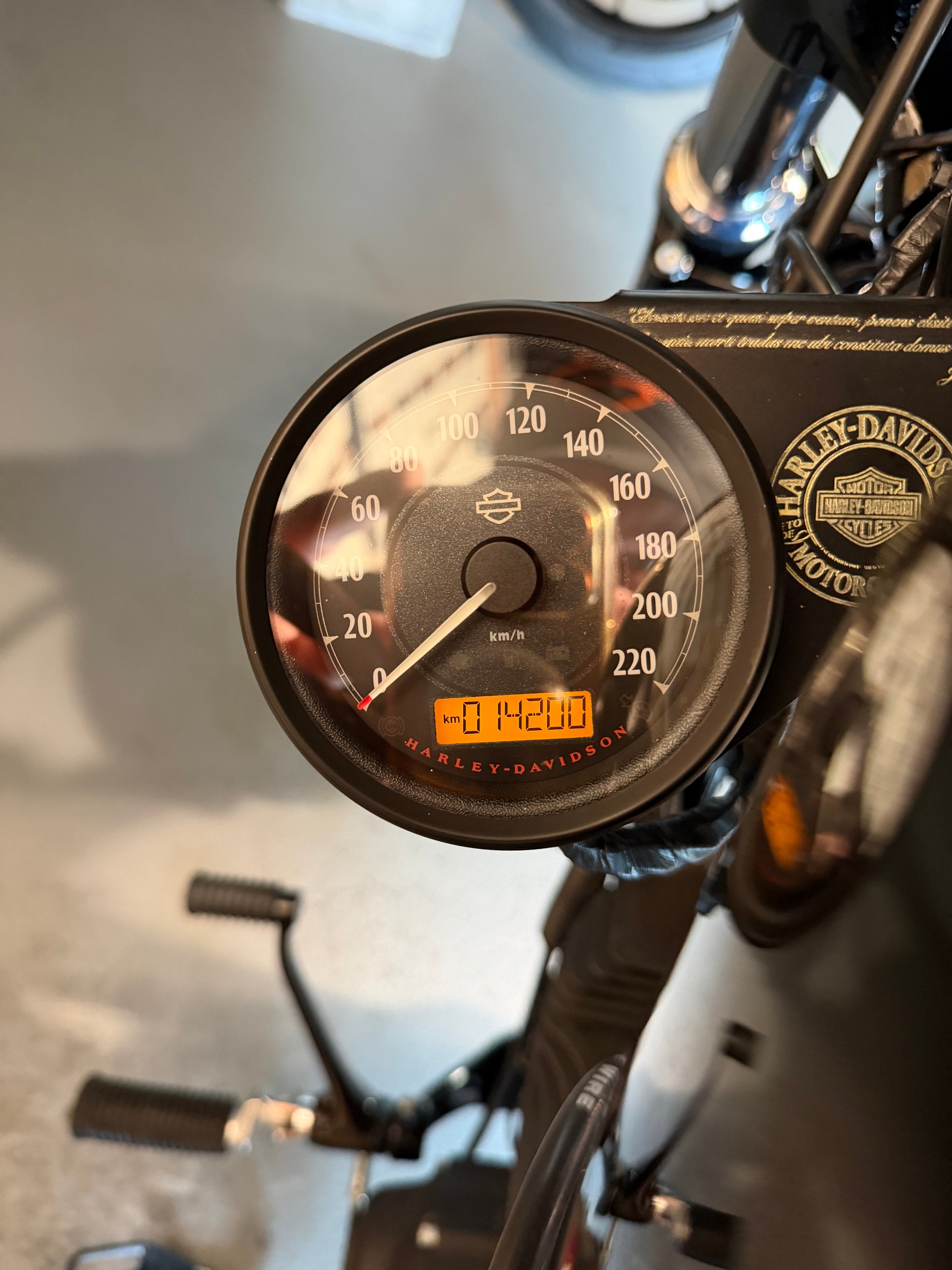 HARLEY-DAVIDSON XL 1200 X Forty Eight ABS (35kw)-image-13