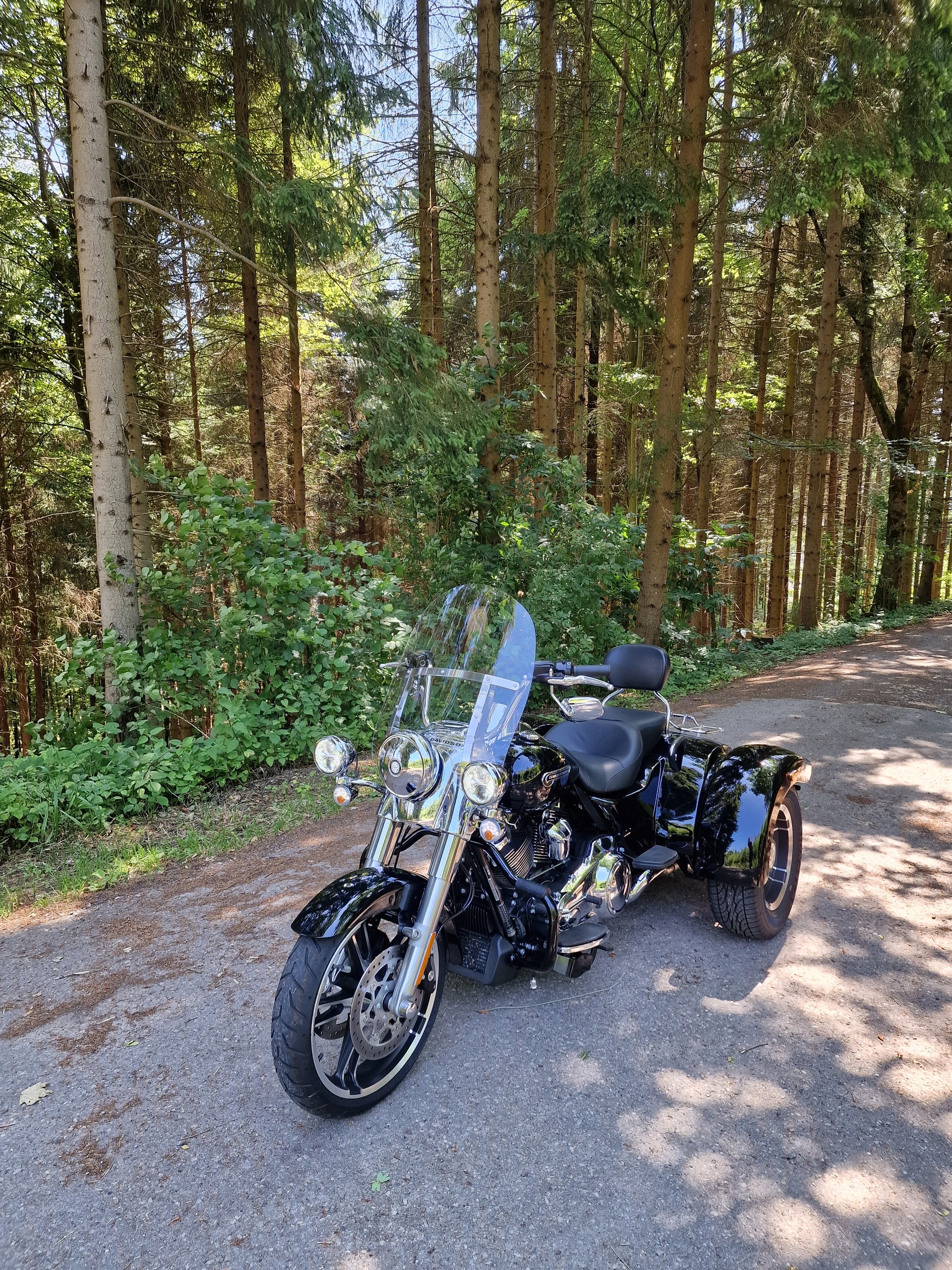 HARLEY-DAVIDSON FLRT Freewheeler 114-image-3