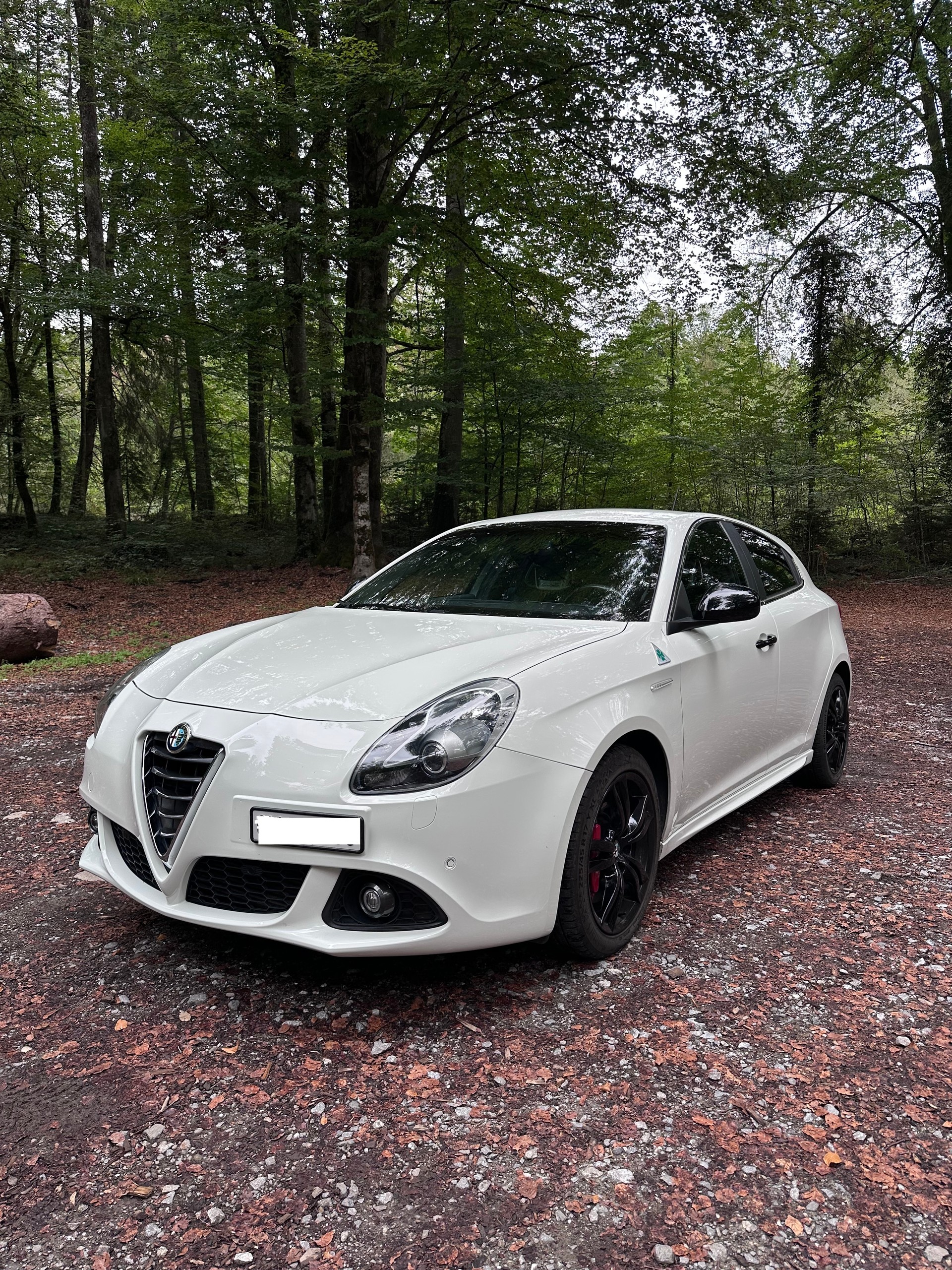 ALFA ROMEO 1750 TBi Quadrifoglio Verde TCT