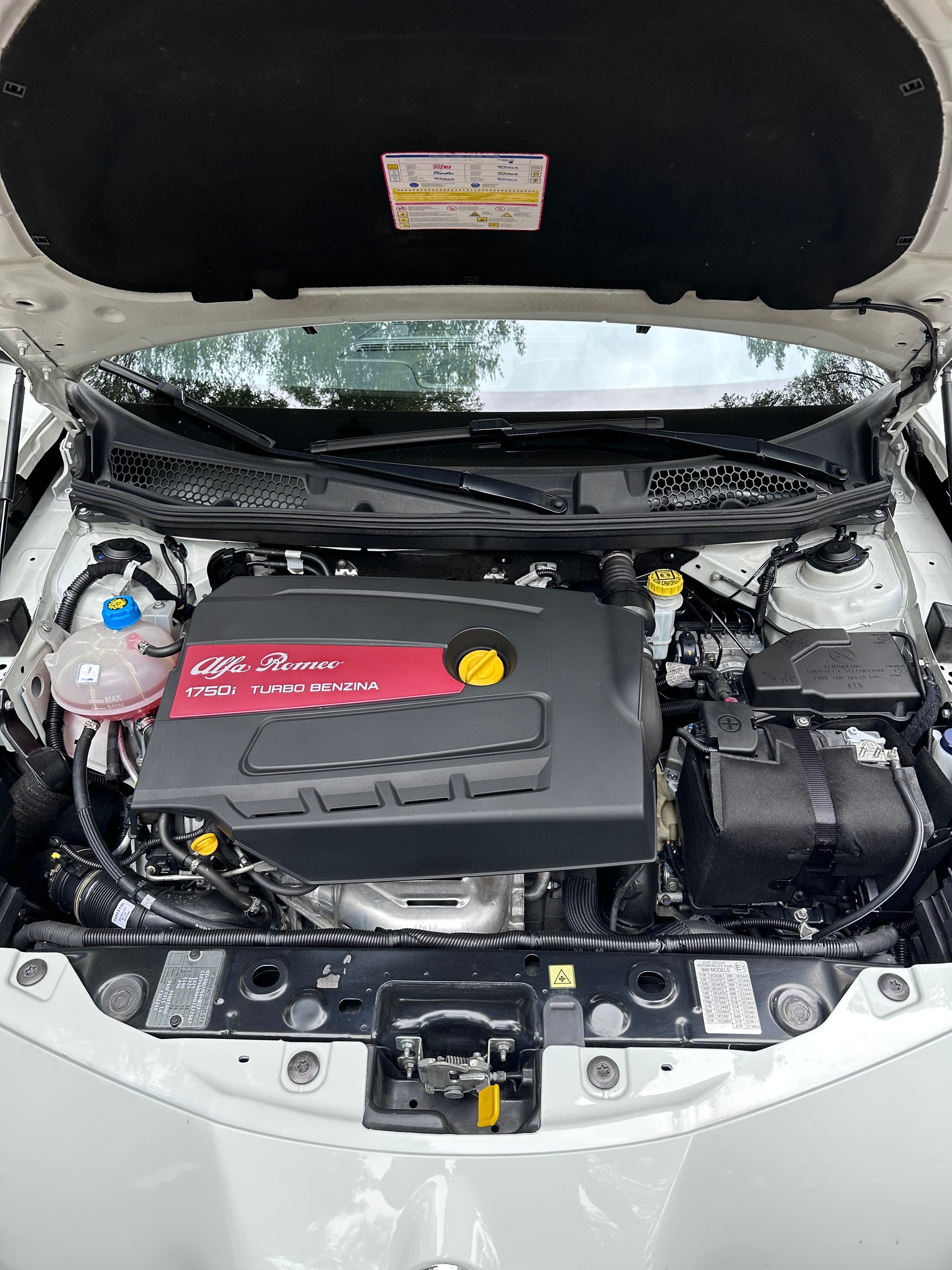 ALFA ROMEO 1750 TBi Quadrifoglio Verde TCT-image-5
