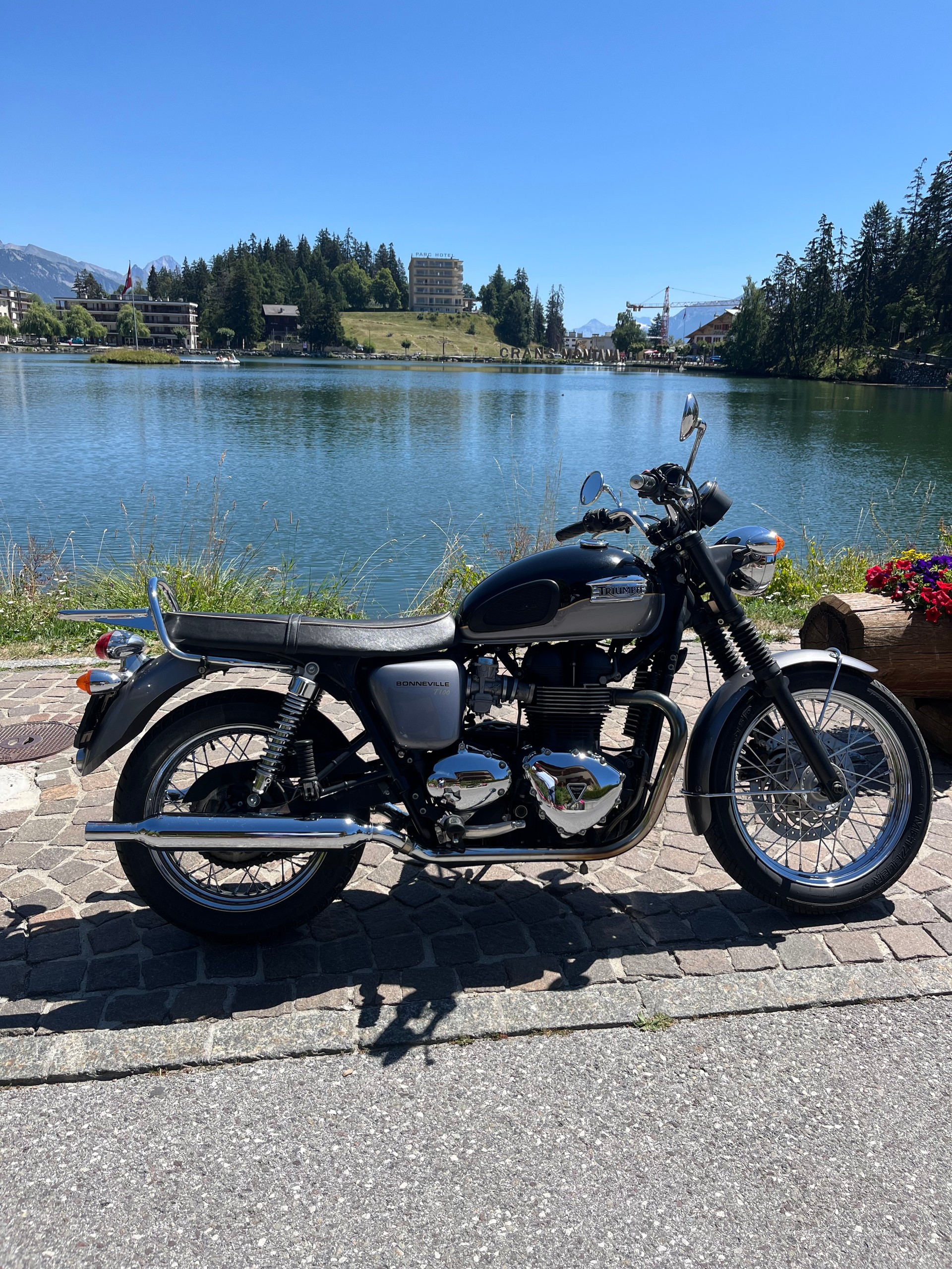 TRIUMPH T100-image-0