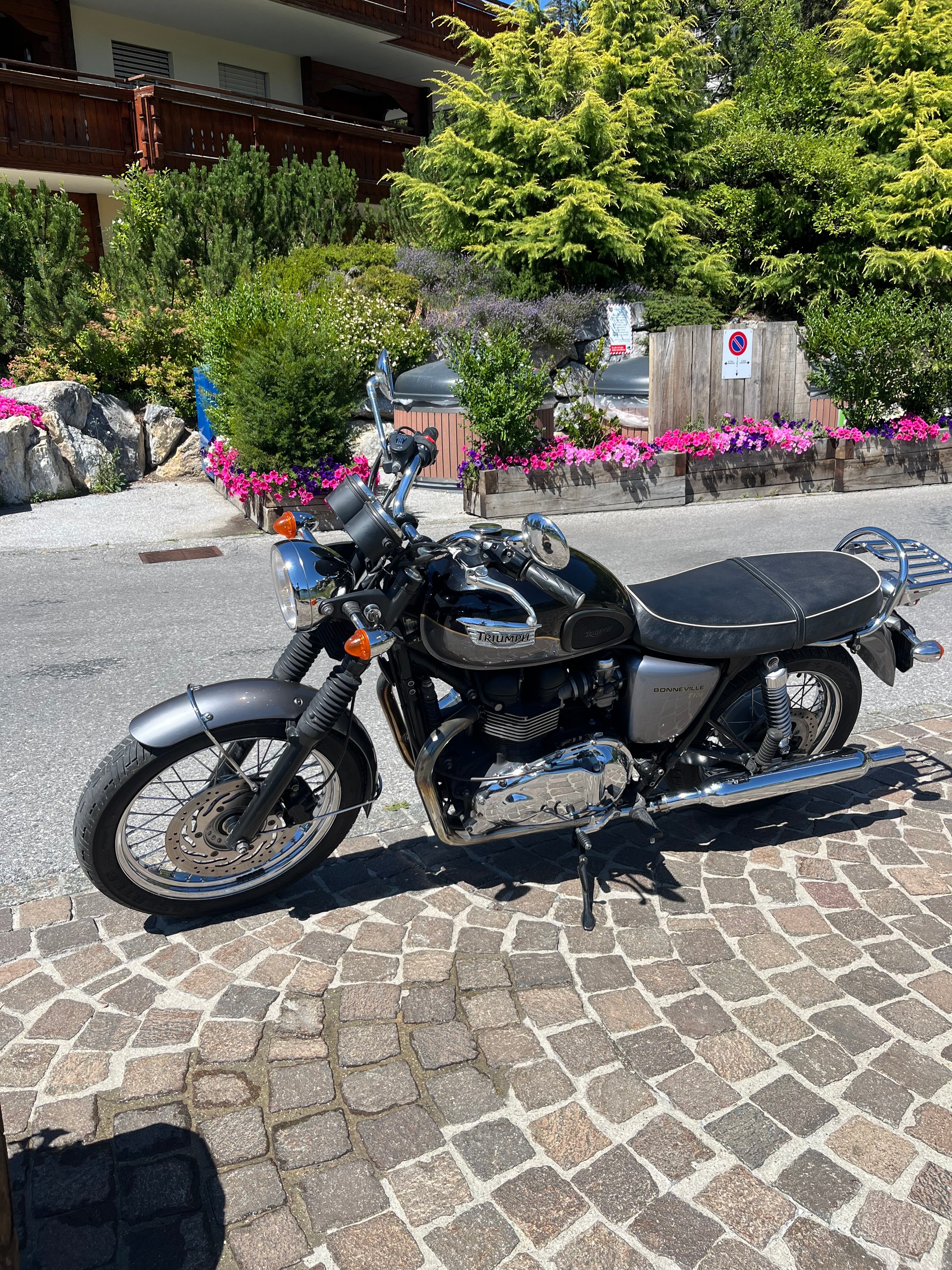 TRIUMPH T100-image-1