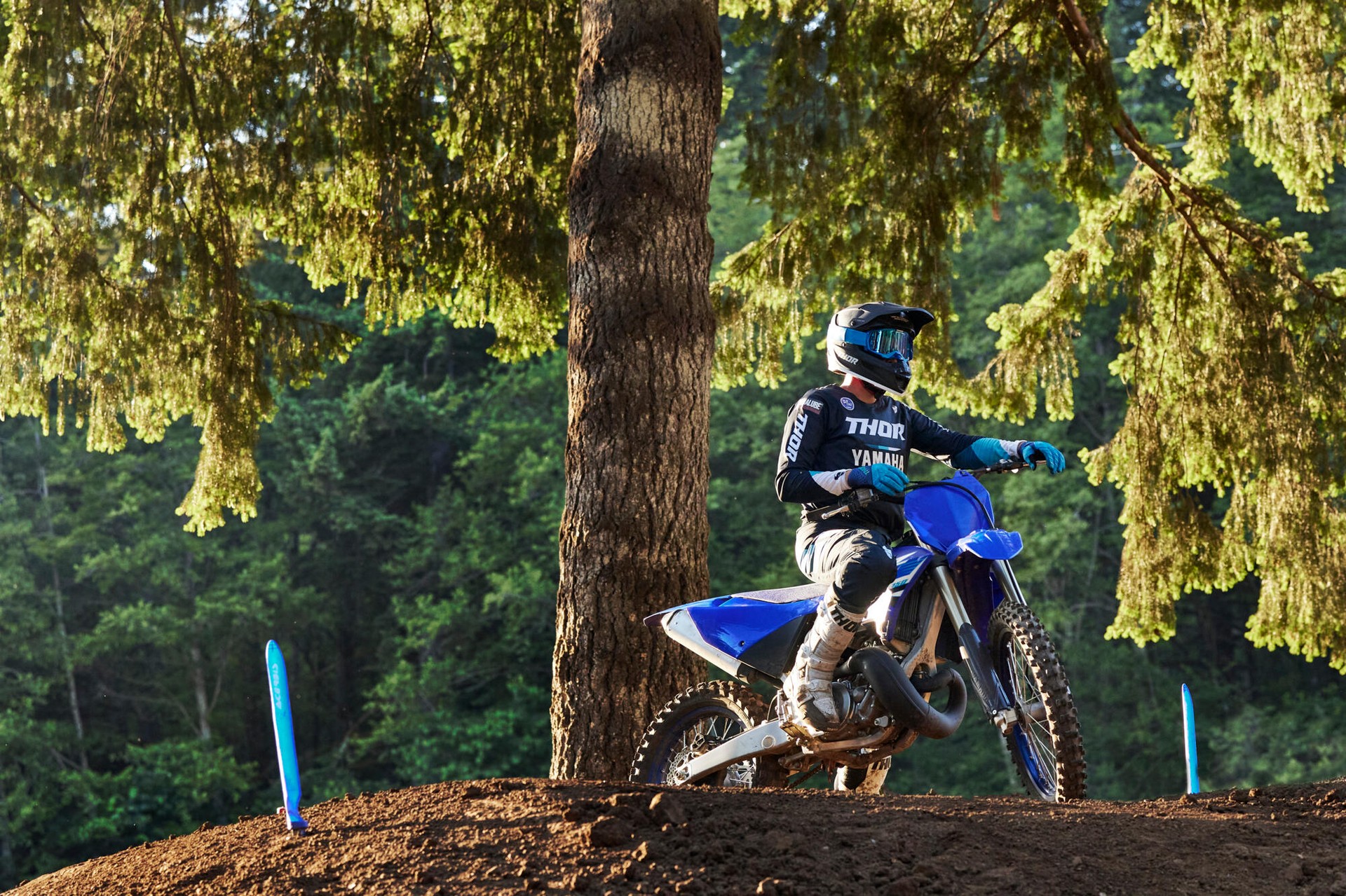 YAMAHA YZ 250-image-9