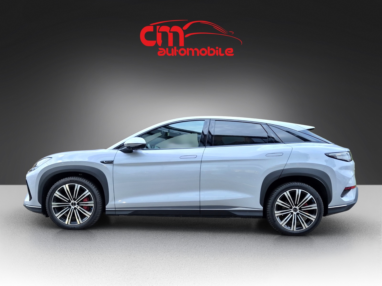 BYD Sealion 7 91,3 kWh Excellence AWD-image-6