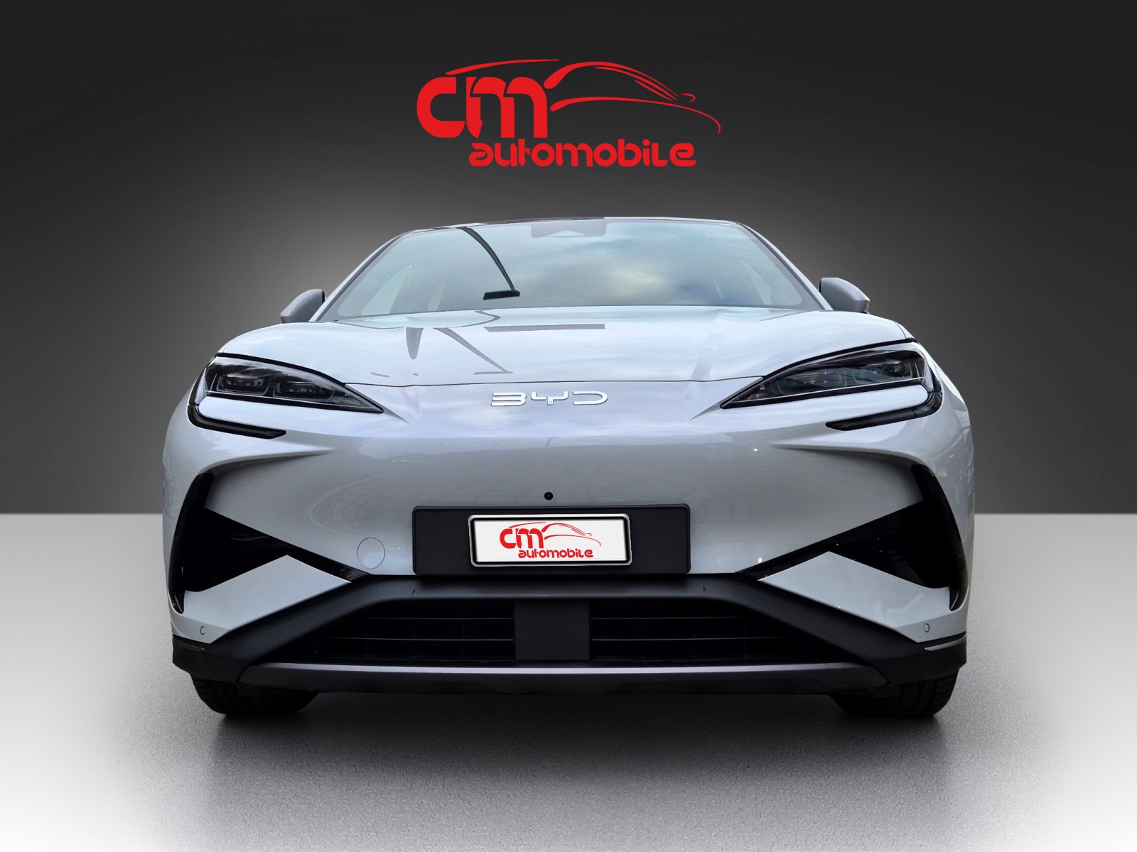 BYD Sealion 7 91,3 kWh Excellence AWD-image-7