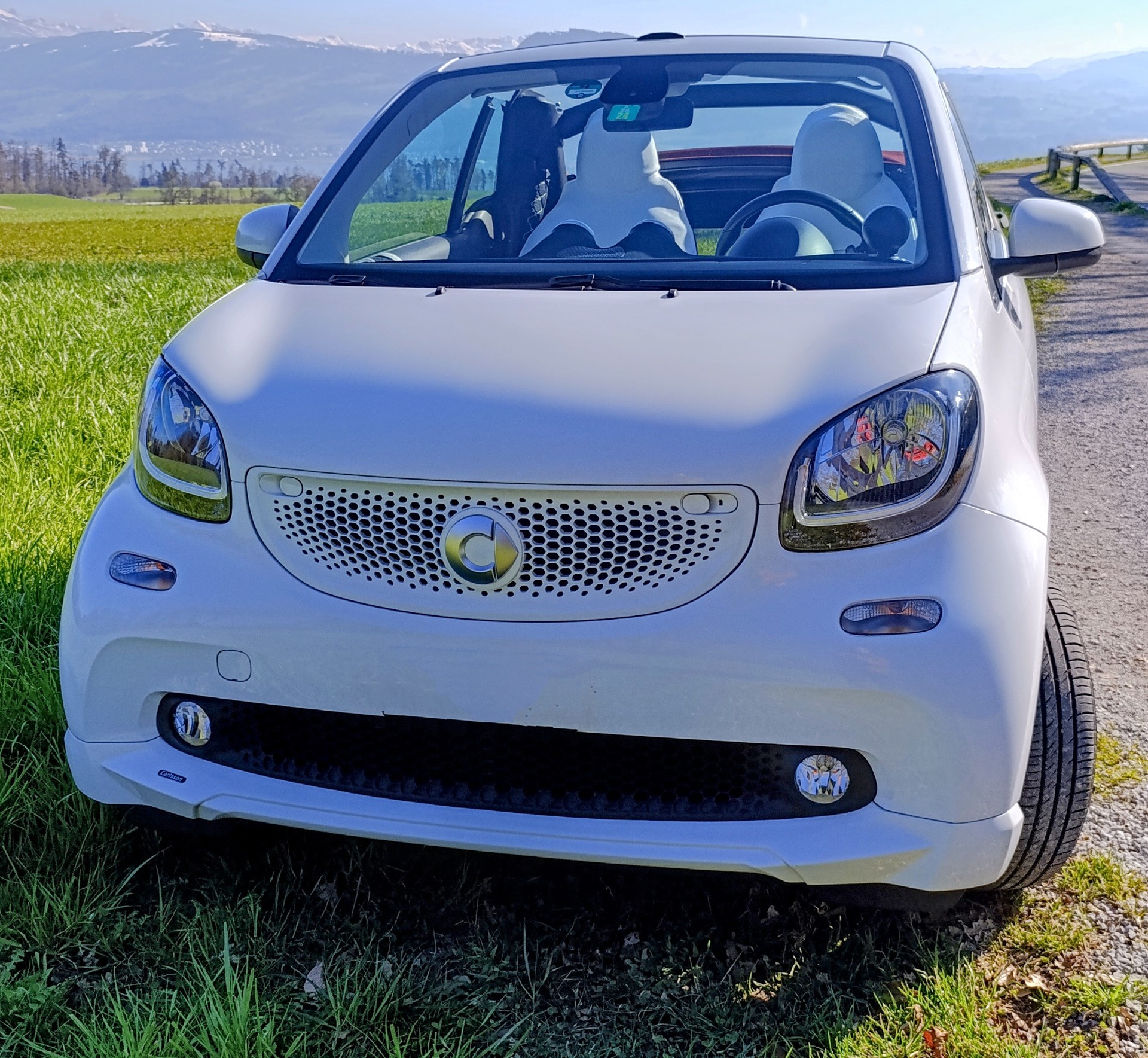 SMART fortwo proxy twinmatic-image-4