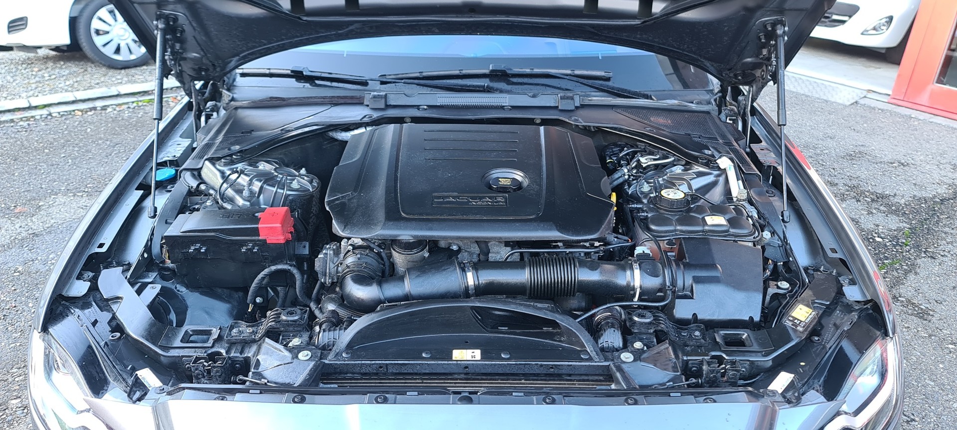 JAGUAR XF 20d Portfolio Automatic-image-12