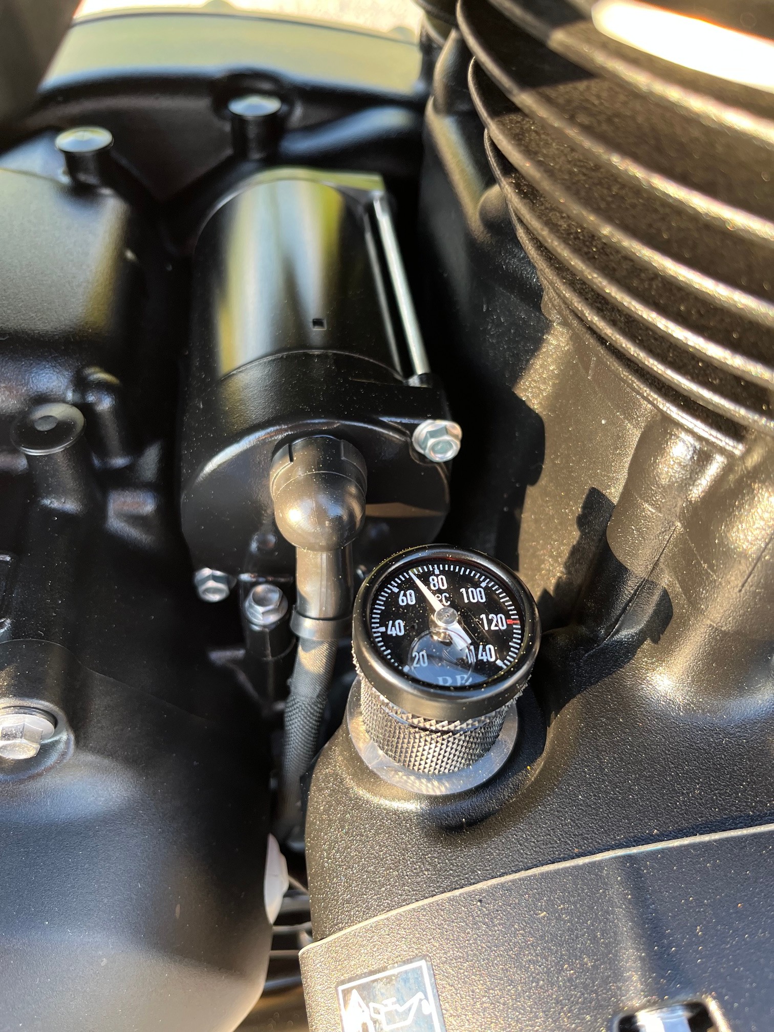 TRIUMPH Speed Twin 1200-image-4