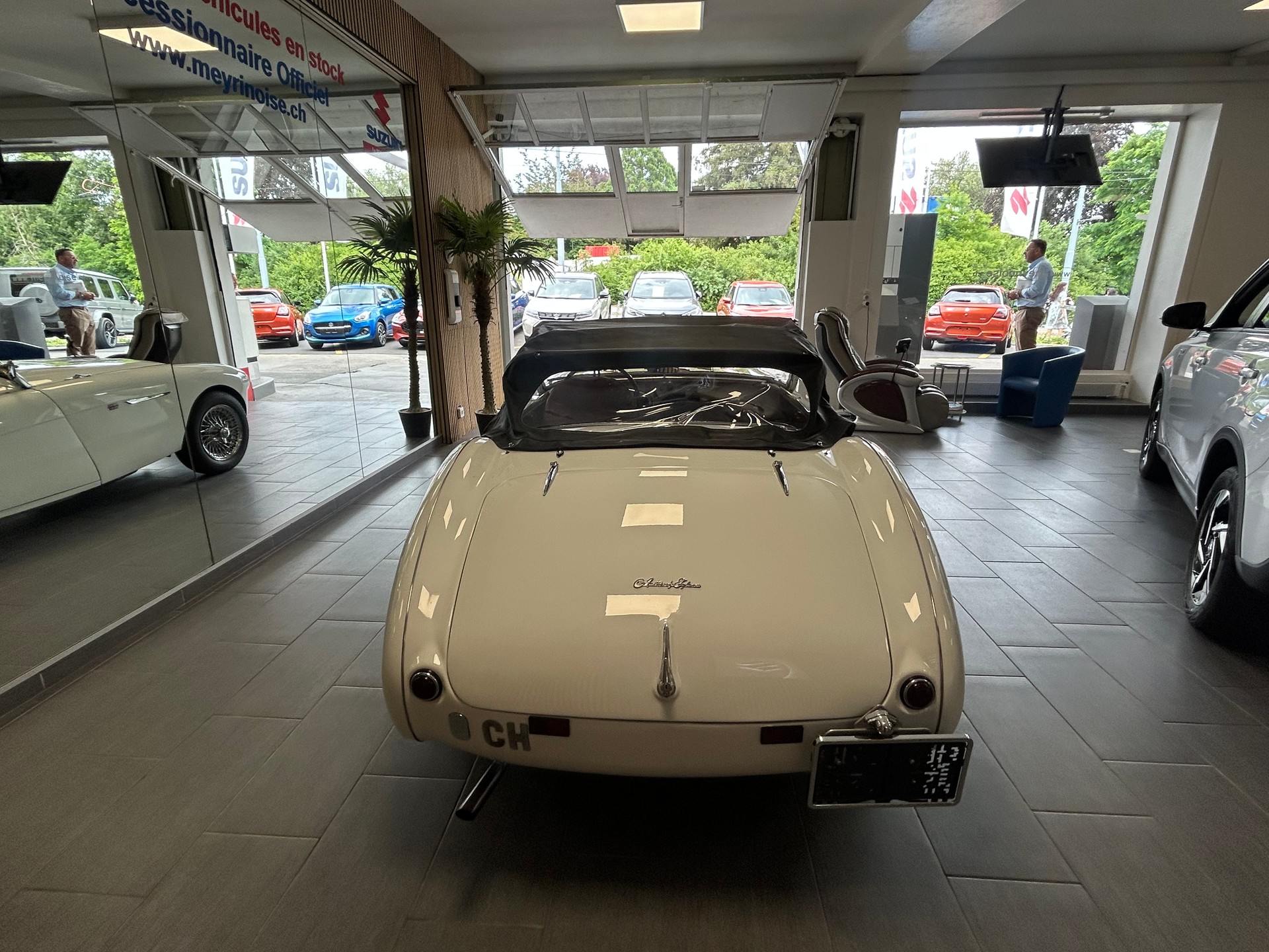 AUSTIN-HEALEY 100 BN1-image-11