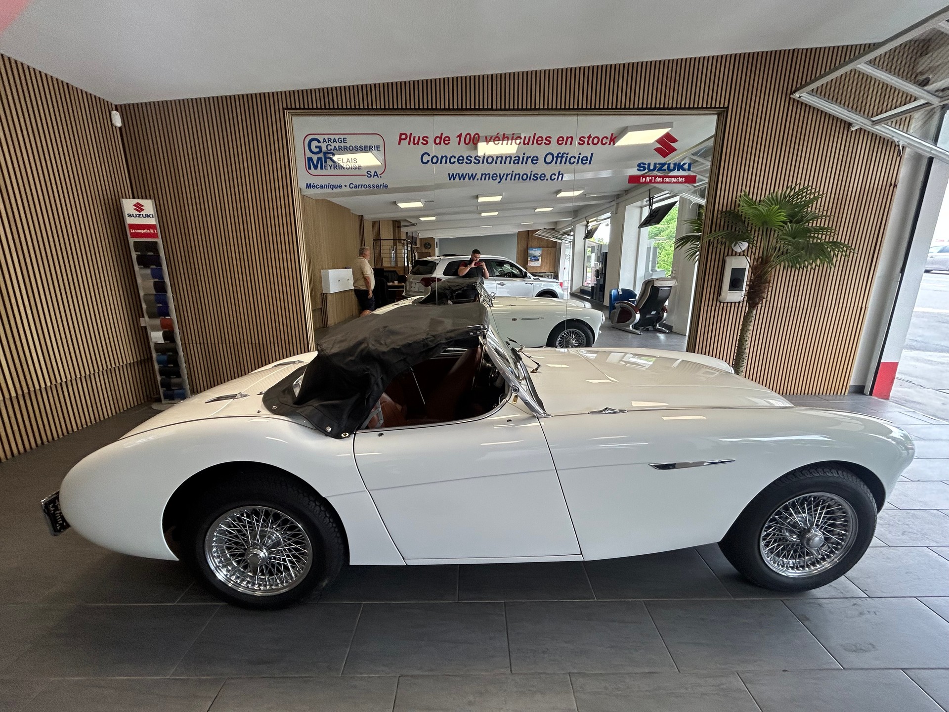 AUSTIN-HEALEY 100 BN1-showroom-element-1