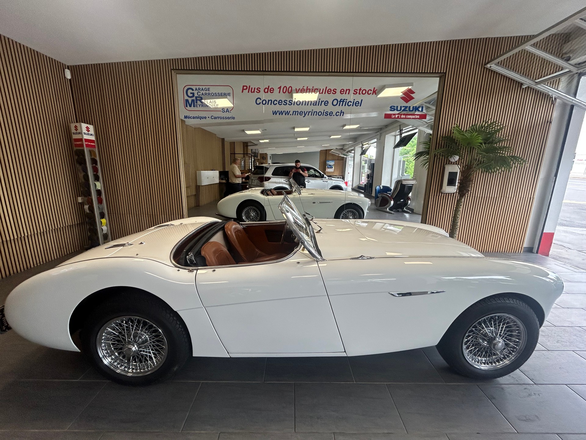AUSTIN-HEALEY 100 BN1