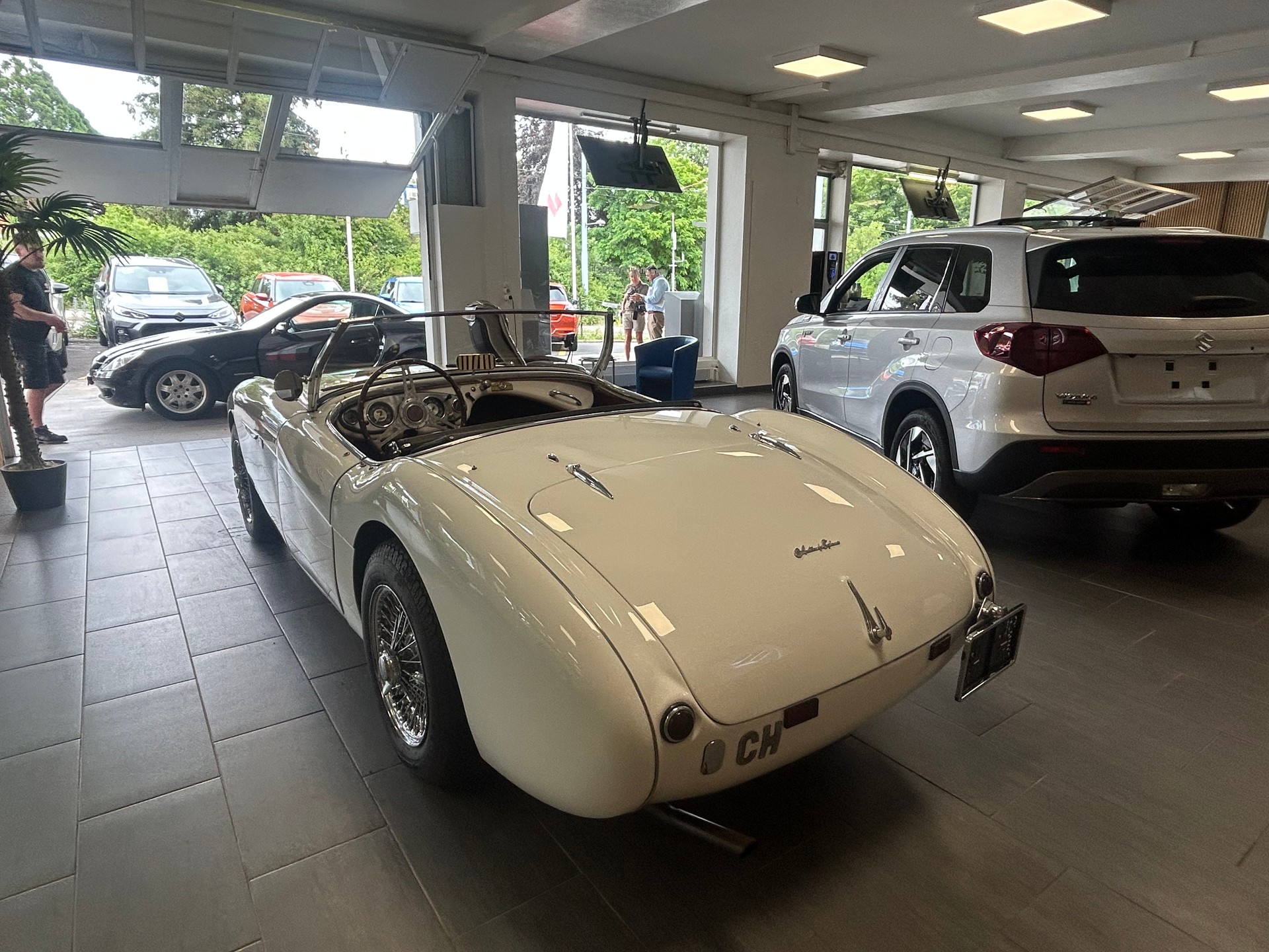 AUSTIN-HEALEY 100 BN1-image-8