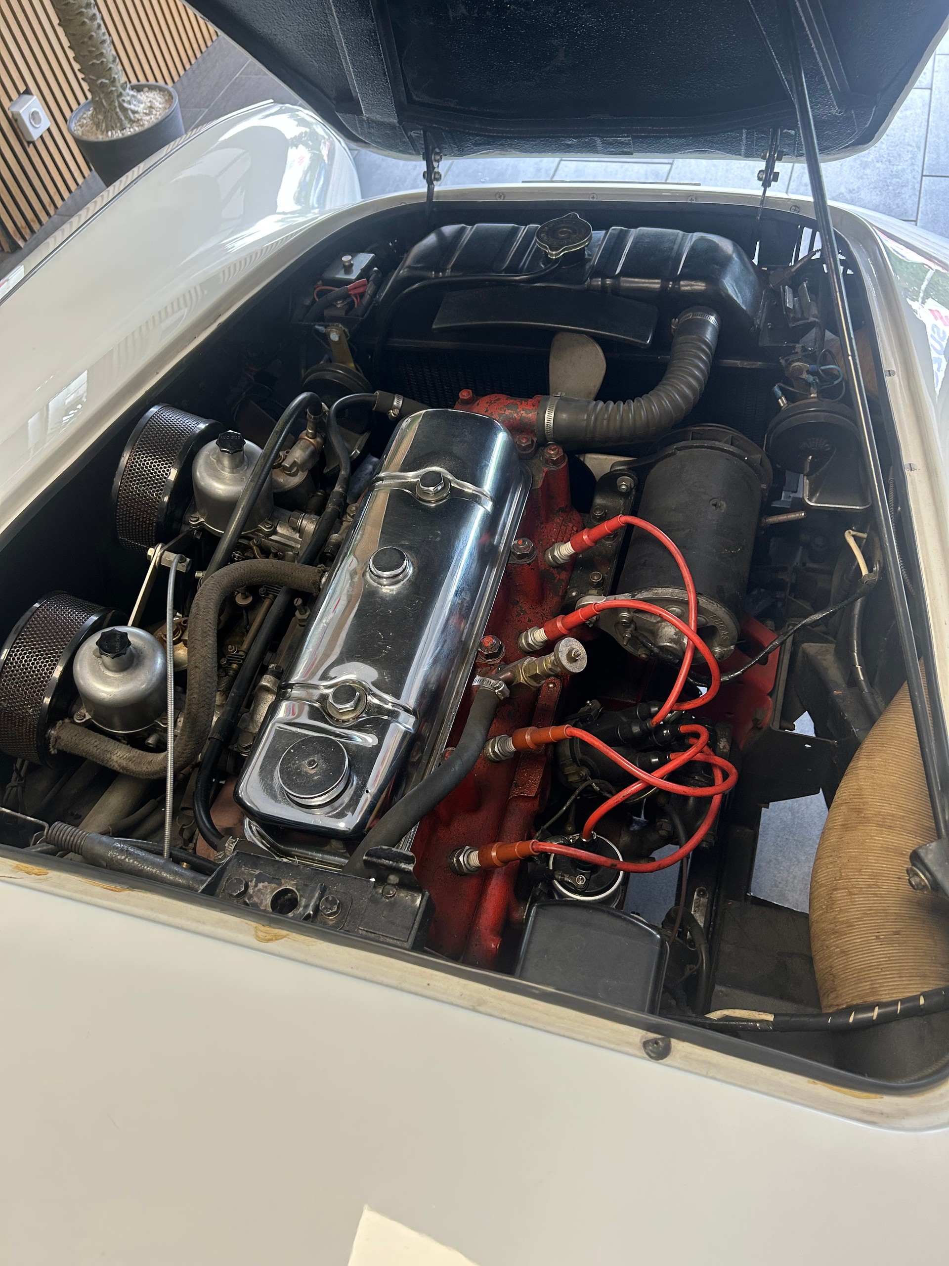 AUSTIN-HEALEY 100 BN1-image-19