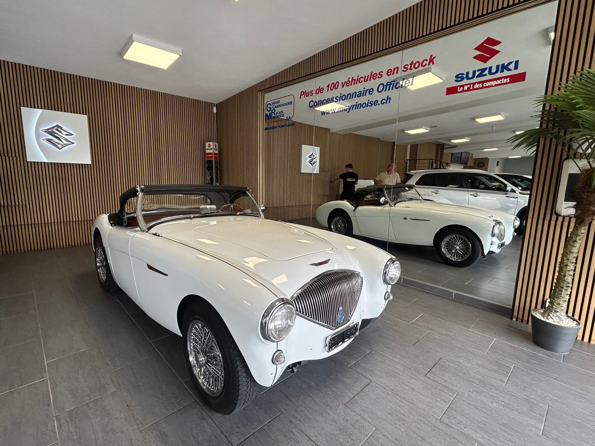 AUSTIN-HEALEY 100 BN1-showroom-element-3