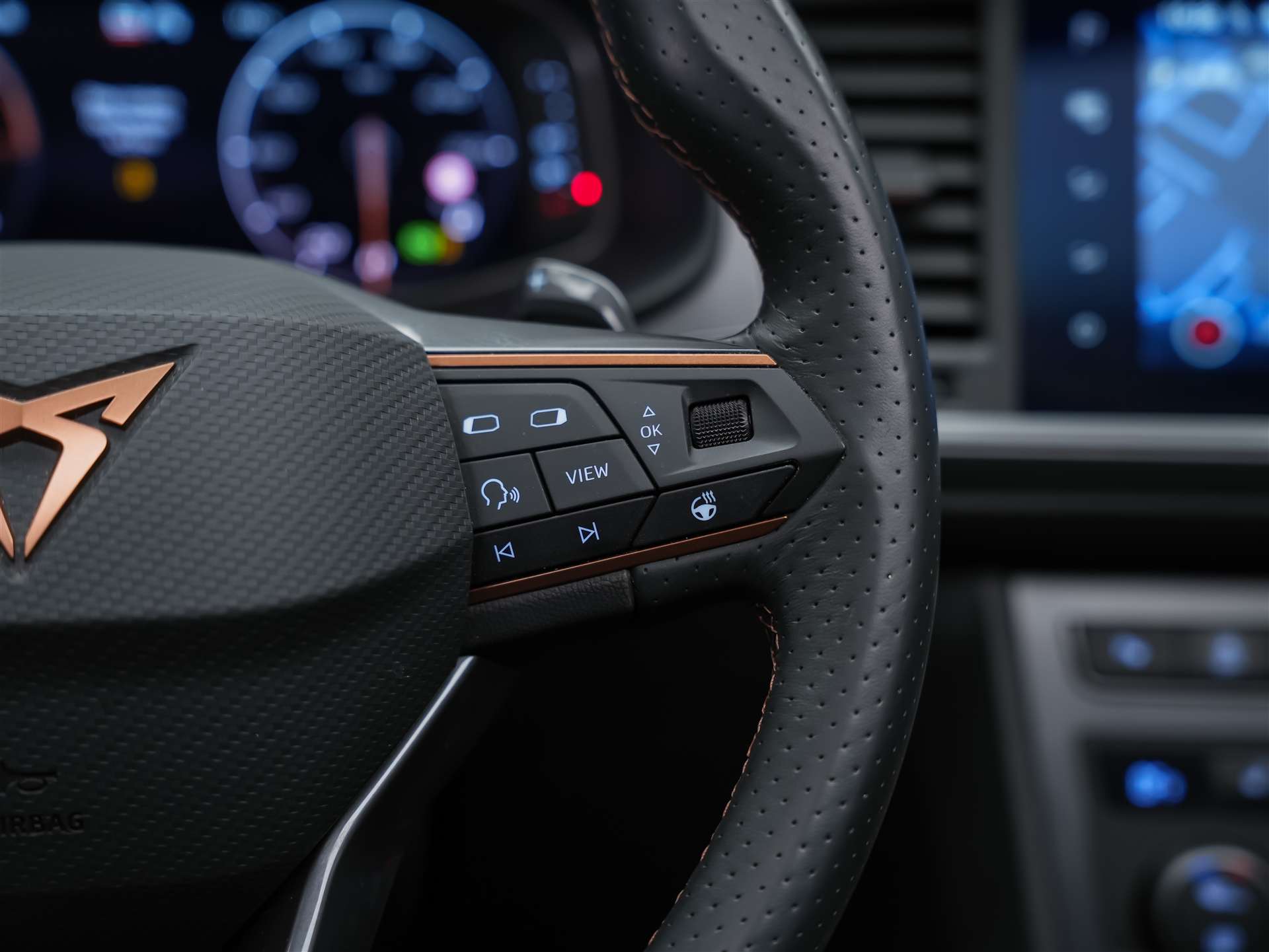 CUPRA Ateca 2.0TSI VZ 4Drive DSG *SOFORT VERFÜGBAR*Panorama*-image-29