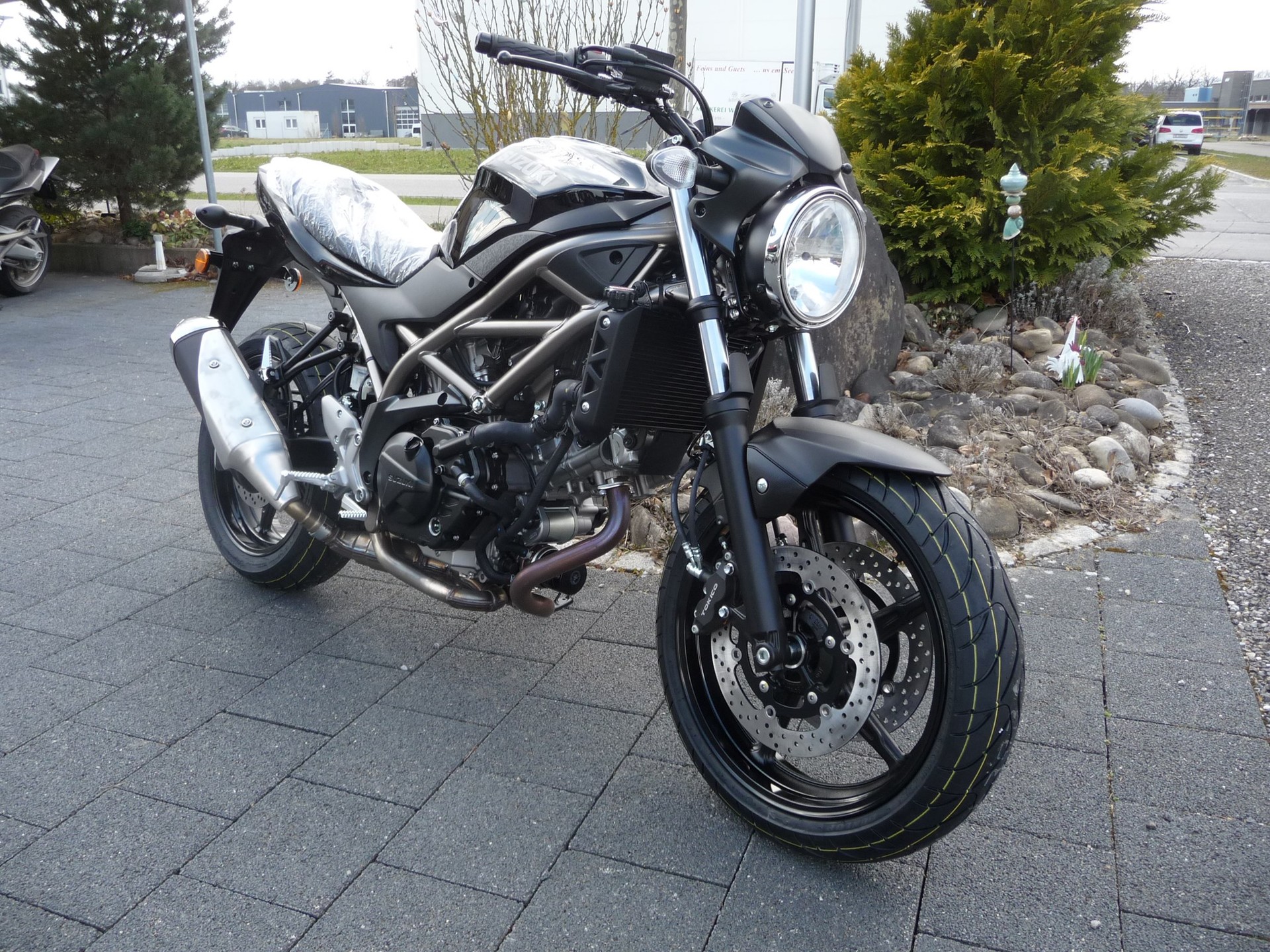 SUZUKI SV 650-image-1